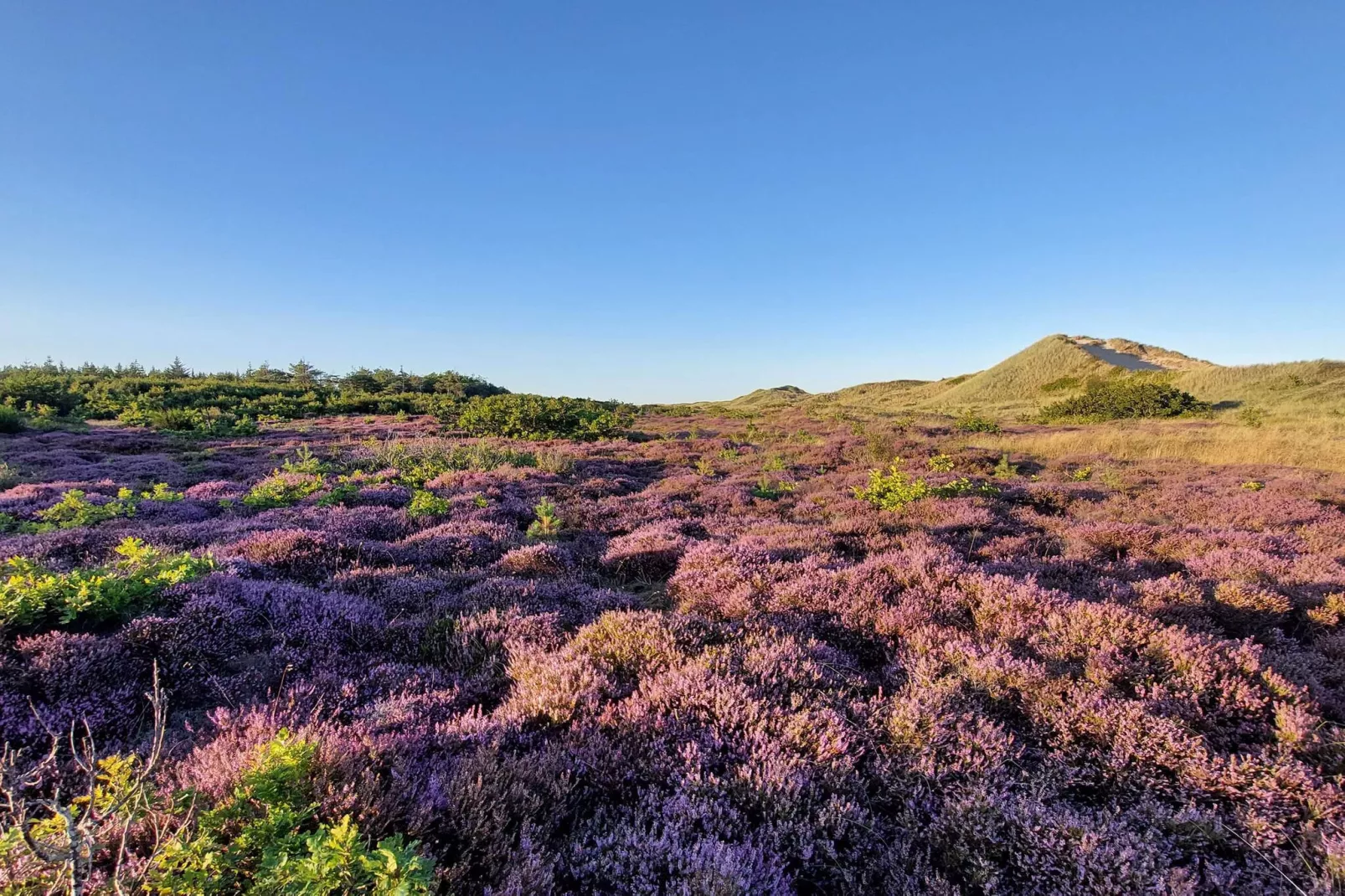 Luxury Pool Retreat in Blavand - By Traum Ferienwohnungen-Untagged