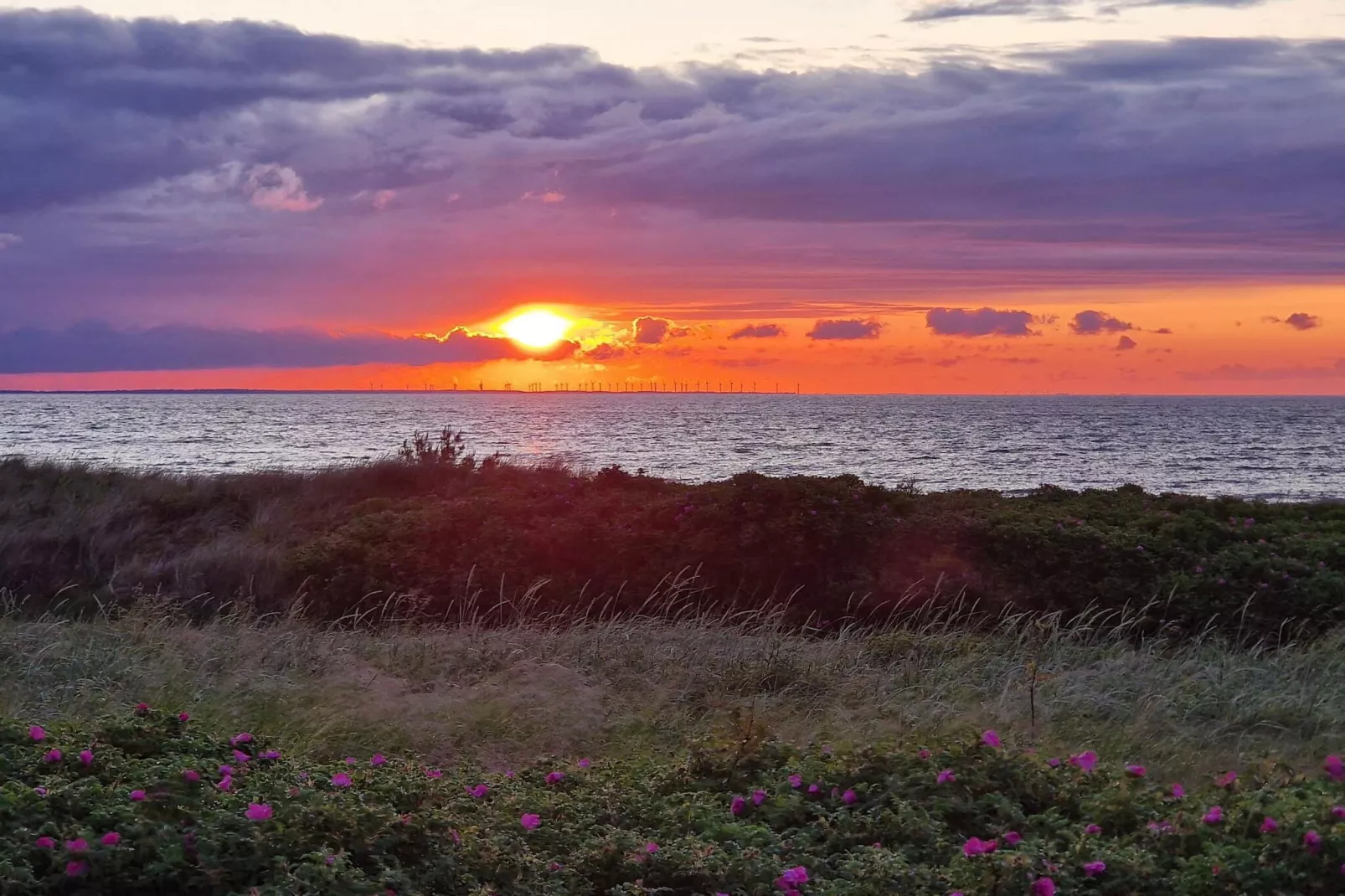 Summer house with wellness area-Water view