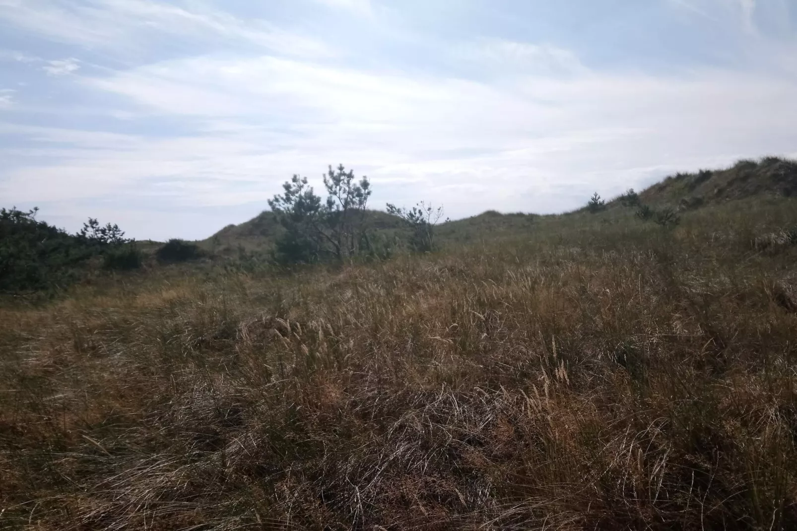 Maison de vacances pour 8 a Læsø-By Traum-Non tagué