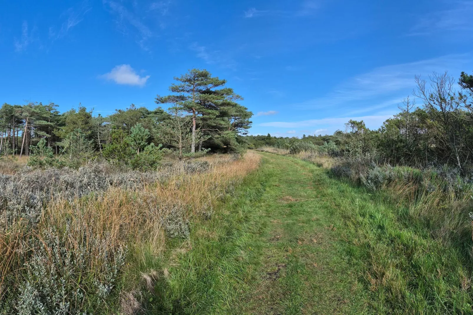 Retraite moderne près de Vadehavet -- By Traum Ferienwohnungen-Non tagué