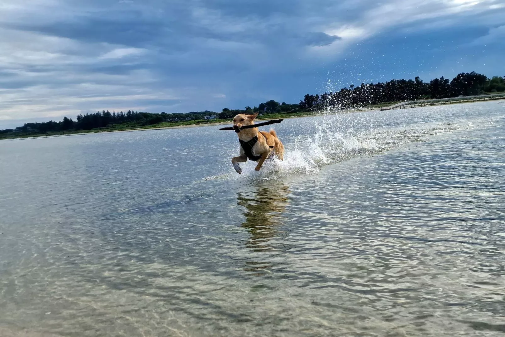 10 person holiday home in Hadsund-By Traum-Water view