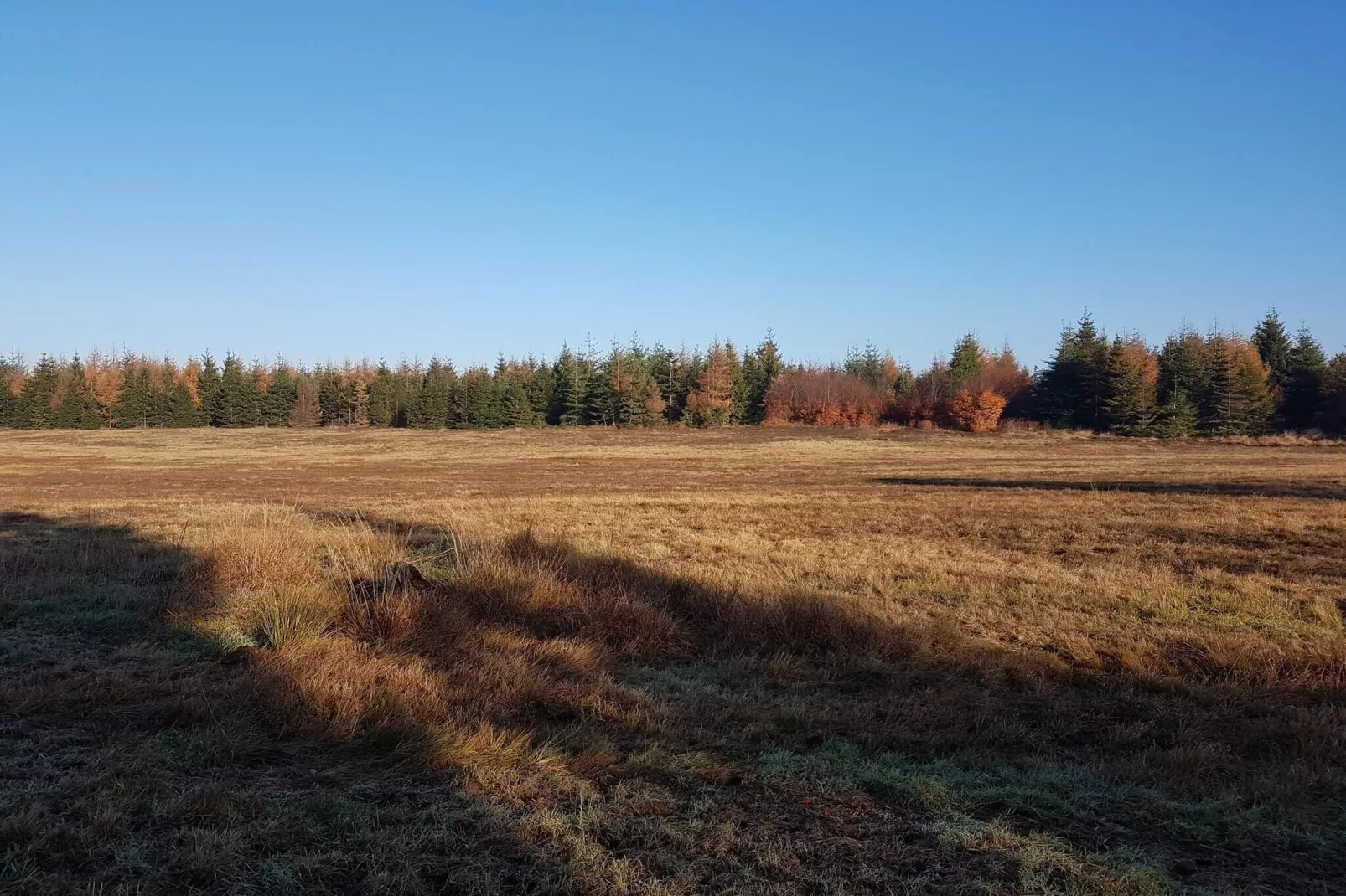 4 Personen Ferienhaus in Toftlund-By Traum-Nicht zugeordnet