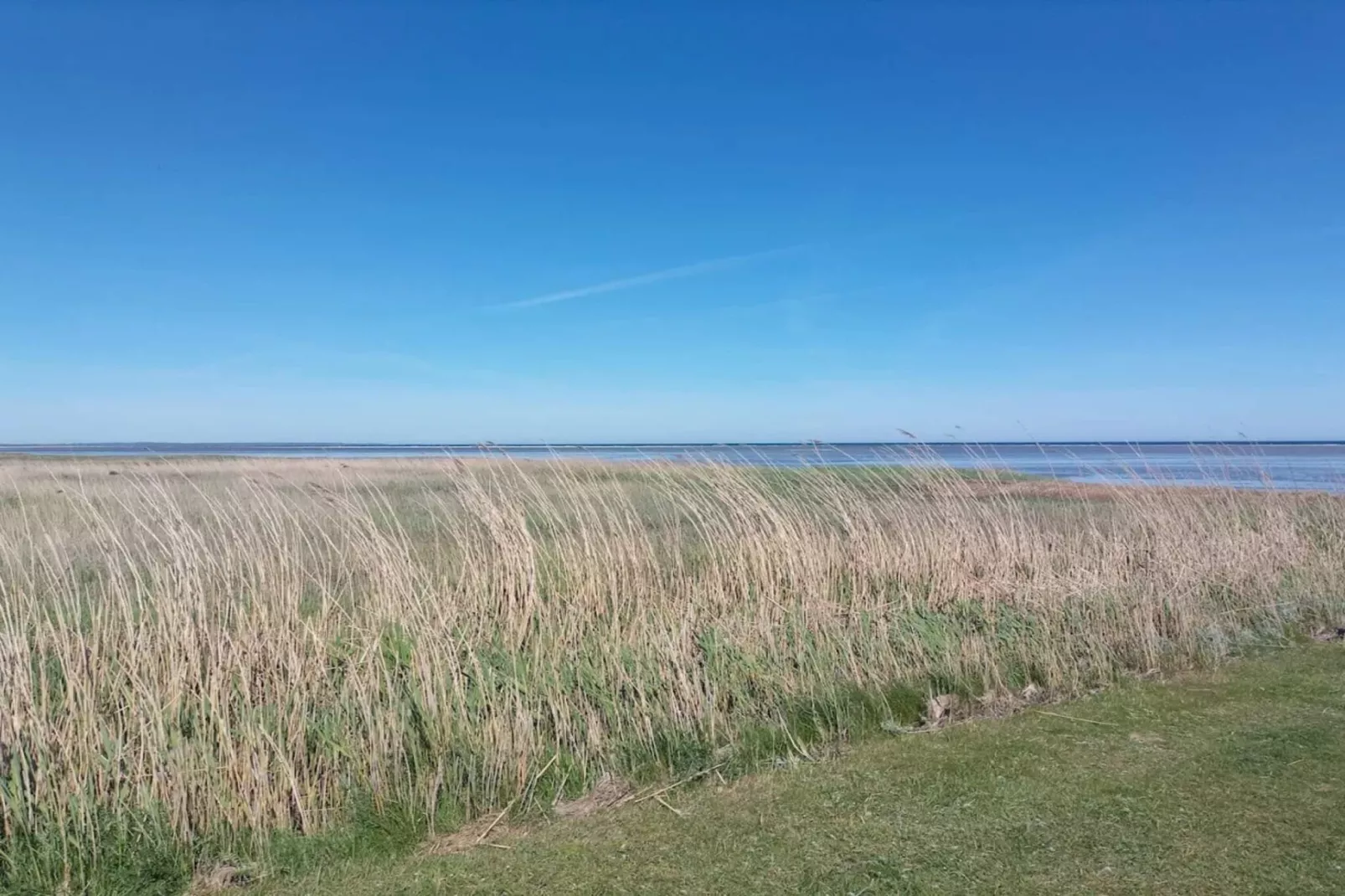 11 Personen Ferienhaus in Ørsted-By Traum-Wasserblick