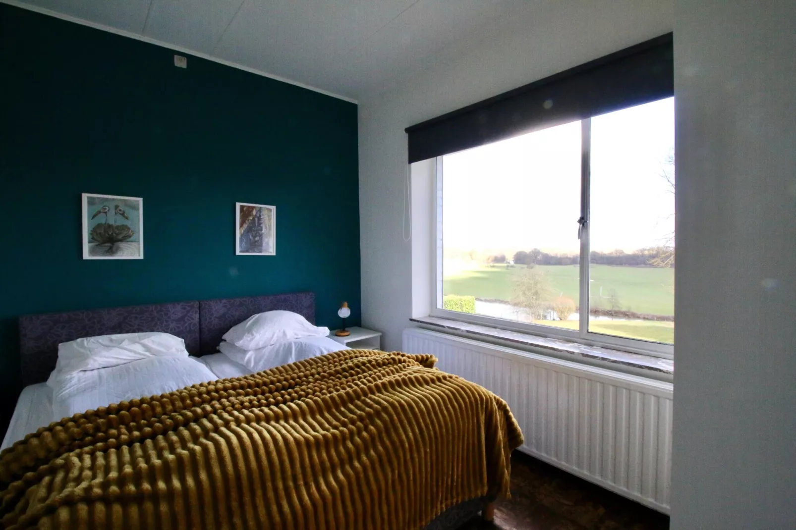 La Vue Phénoménale