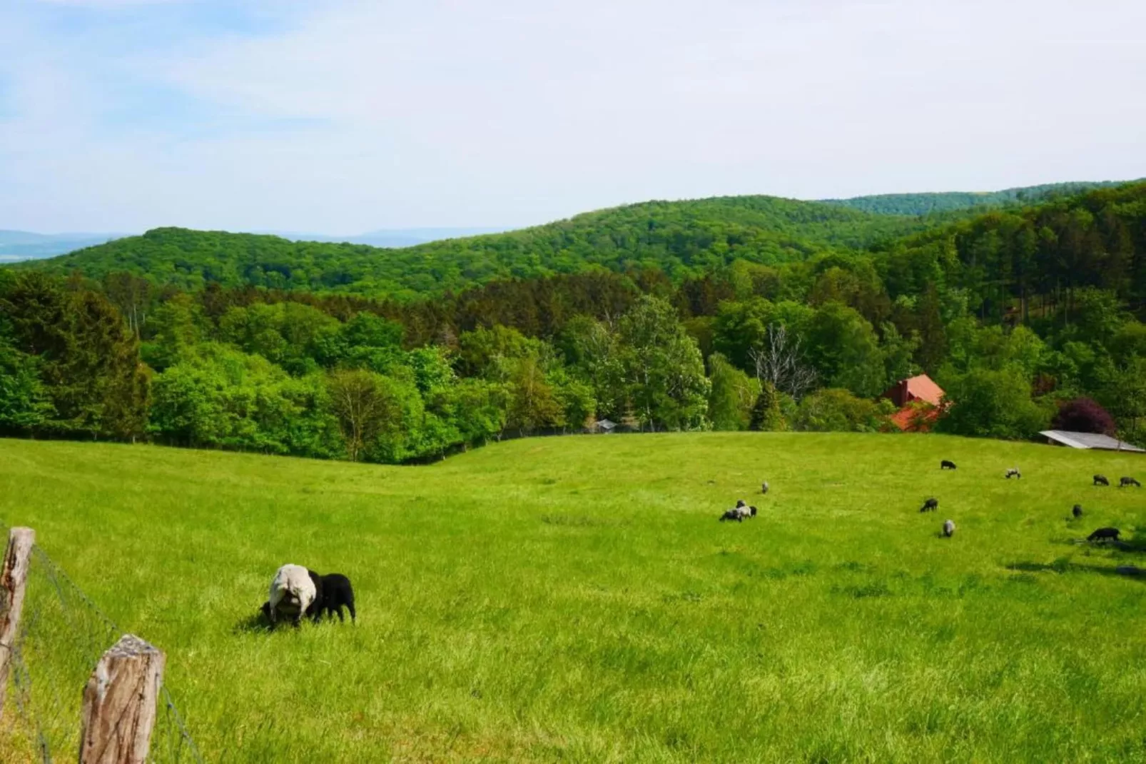 Weserbergland - Bad Pyrmont-Areas within 20km in summer