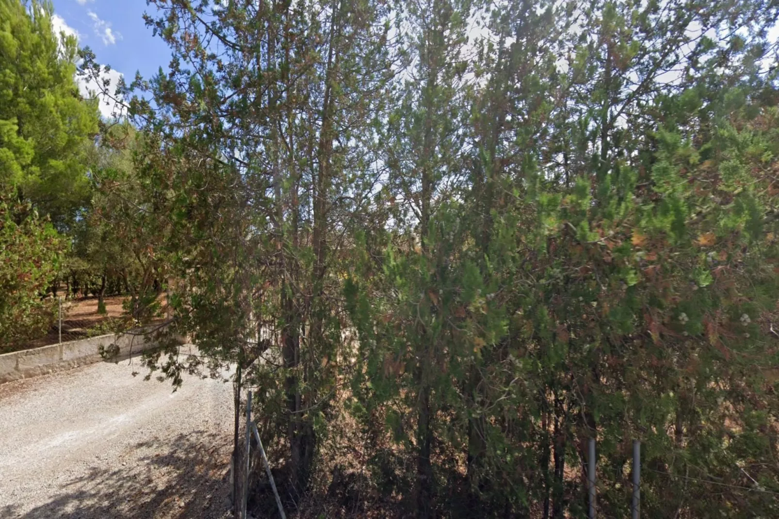 Can Serra-Areas within 5km in summer