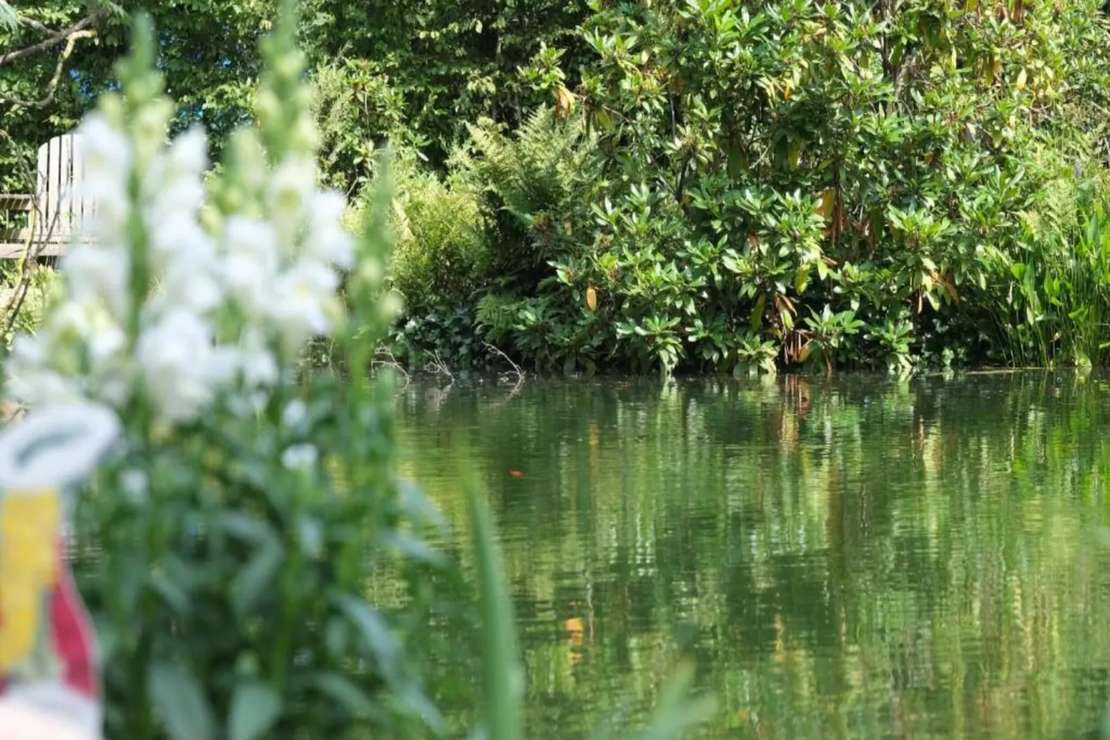 Bospark Markelo 3-Areas within 20km in summer