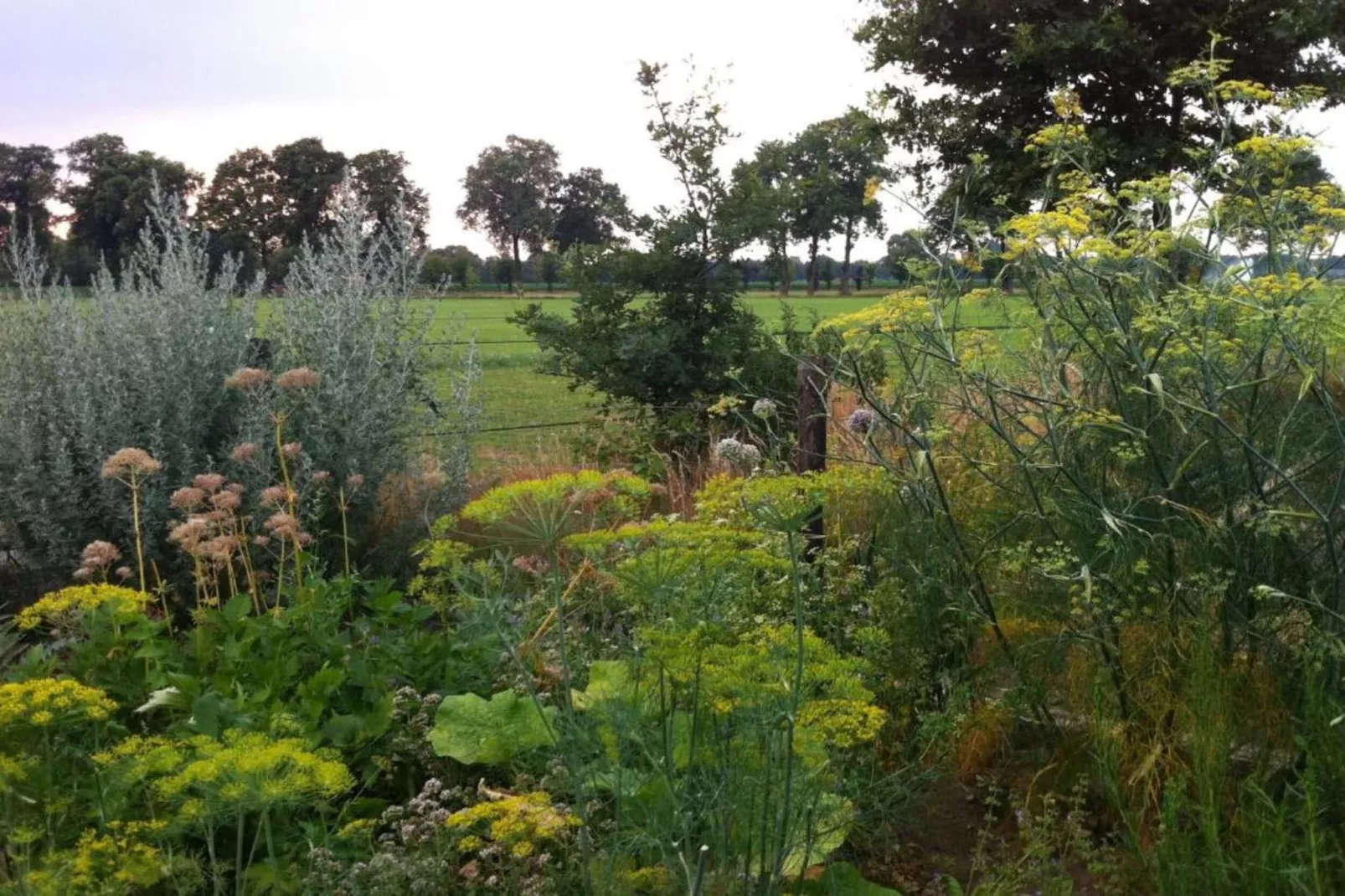 Bospark Markelo 2-Areas within 20km in summer