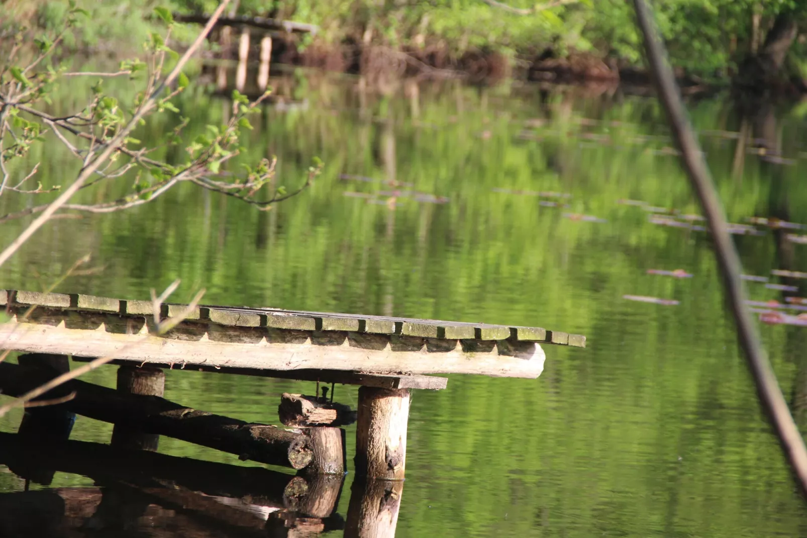 Holiday flat in Kolczewo70 qm for 6 persons-Gebiete Sommer 1 km