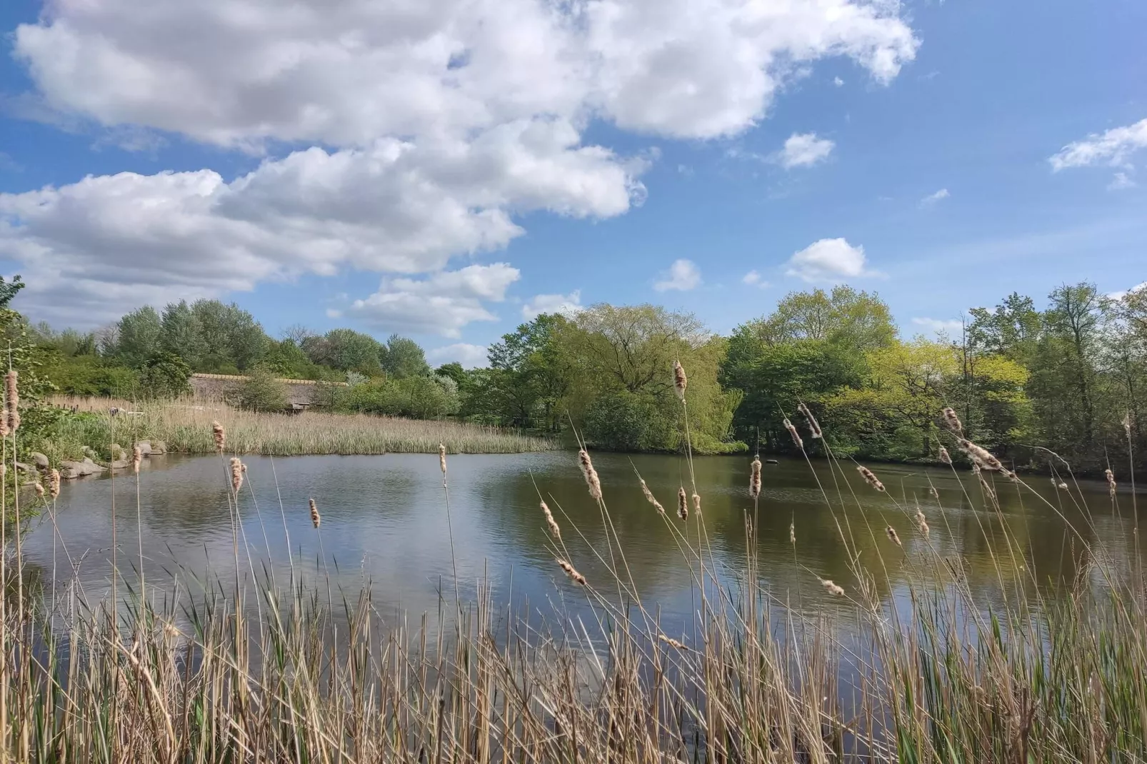 Maison de vacances pour 6 a Væggerløse-By Traum-Vue sur l'eau