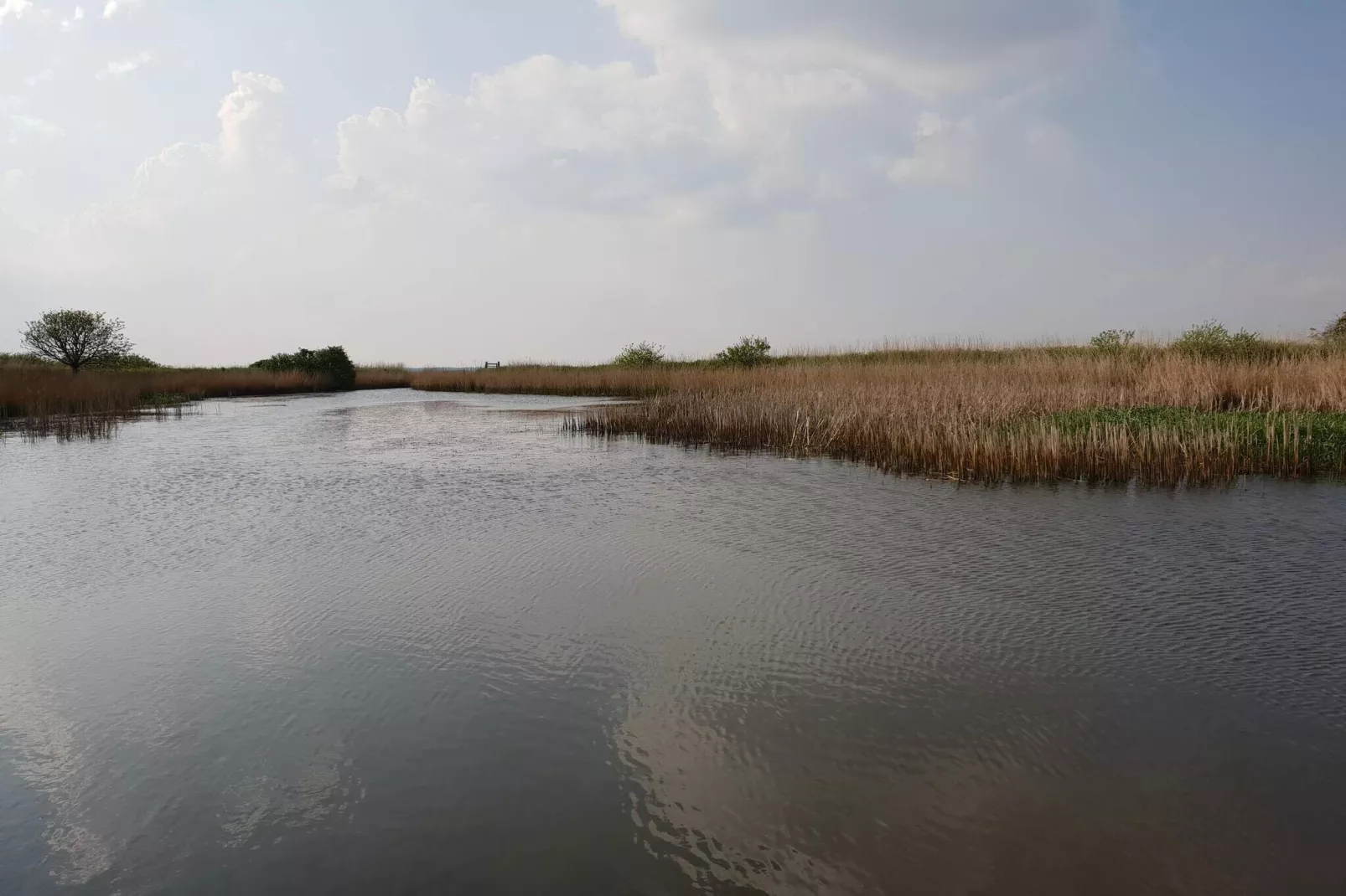 Idyllic Nature Retreat - By Traum Ferienwohnungen-Water view