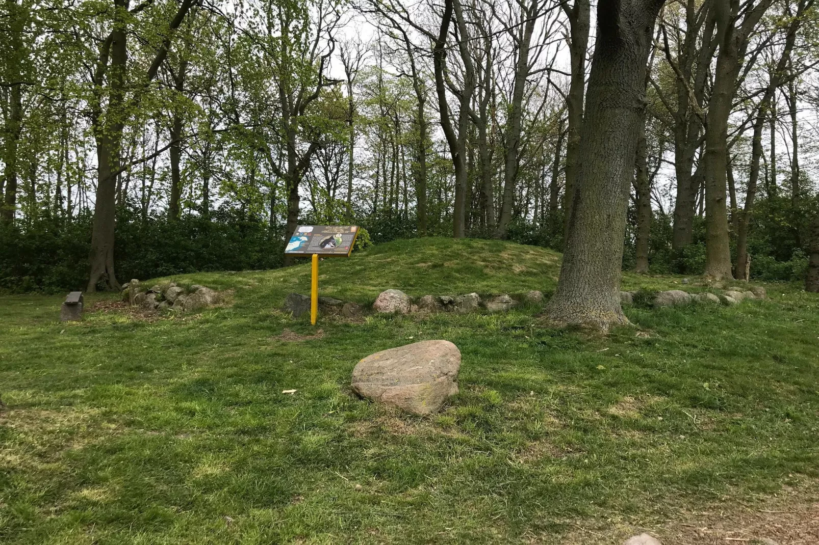Schlagsdorf 40 EG Feldblick-Gebiete Sommer 5 km