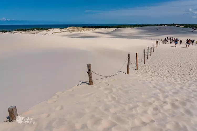 Dom wakacyjny Seahorse w Rowach-Areas within 5km in summer