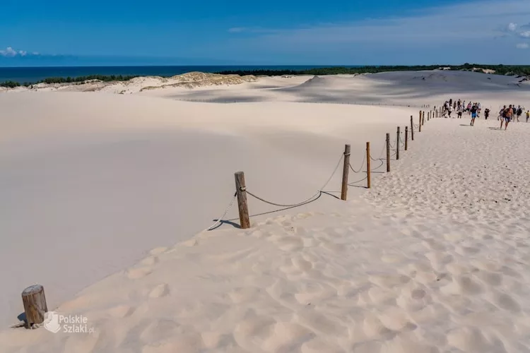 Dom wakacyjny Śledzik w Rowach-Areas within 5km in summer