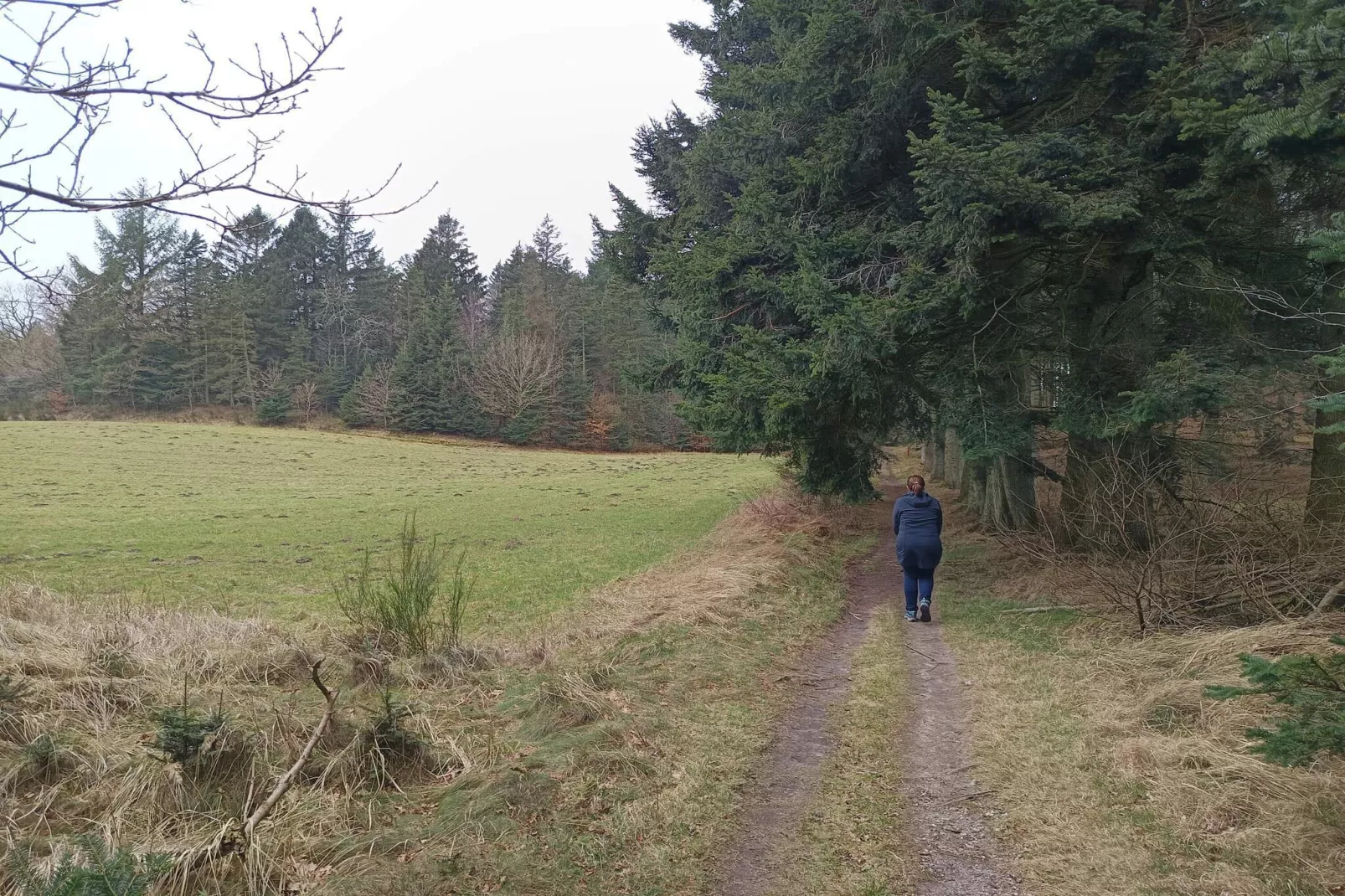 Maison de vacances pour 6 a Glesborg-Non tagué