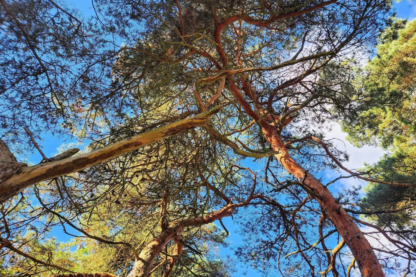 5 person holiday home in HALTORP-By Traum-Untagged