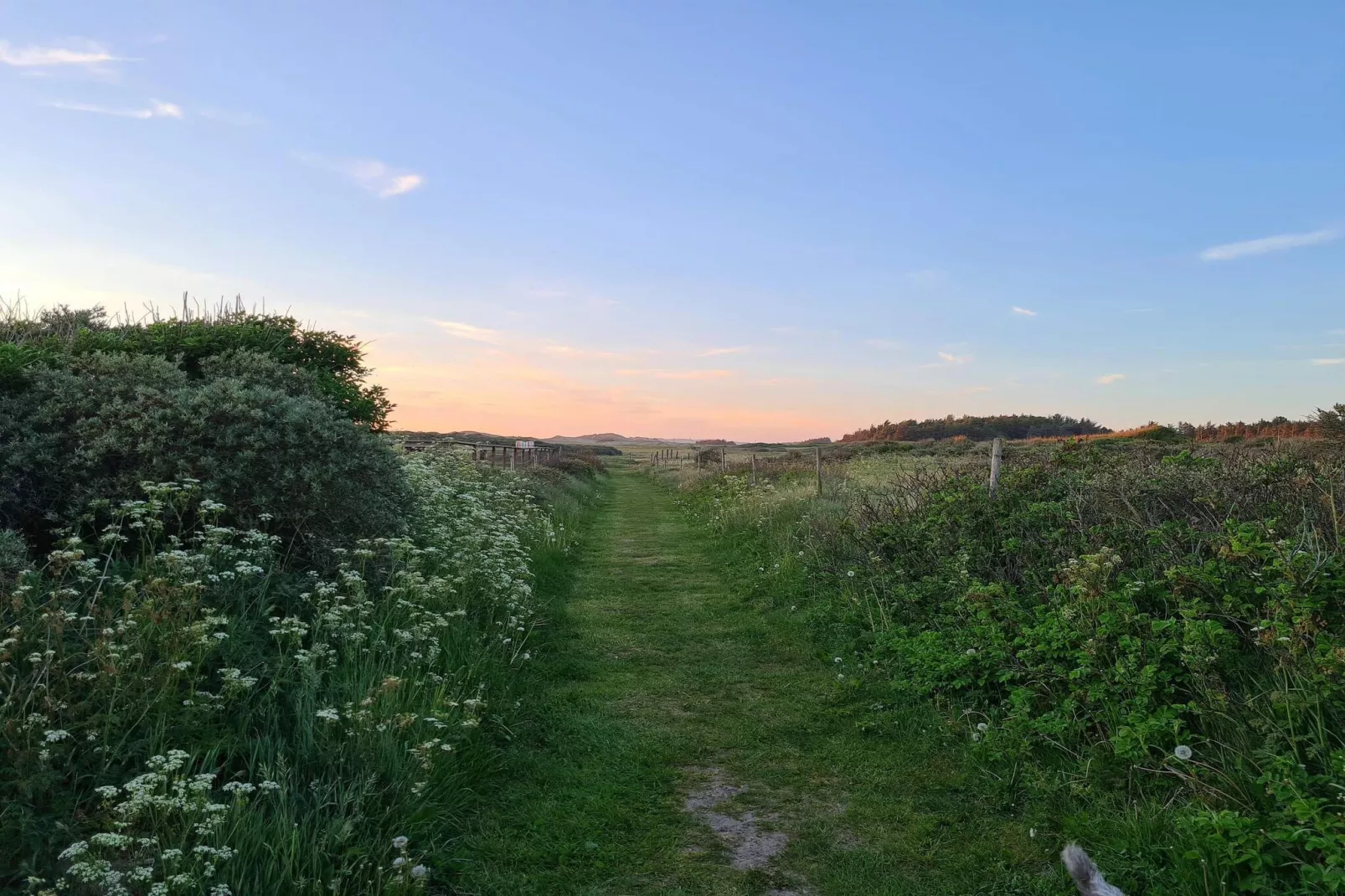 Maison de vacances pour 8 a Løkken-By Traum-Non tagué
