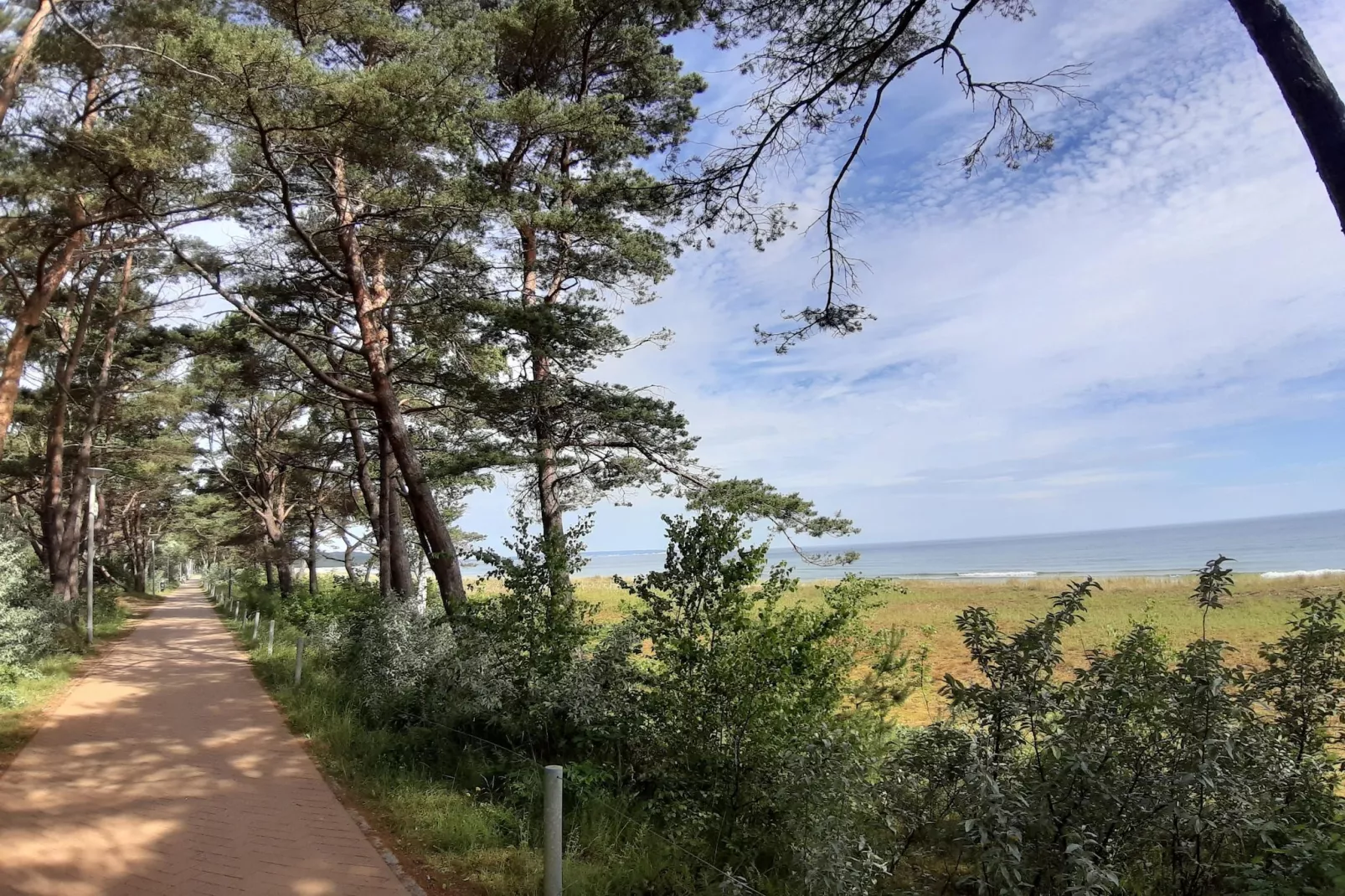Seepark Sellin - 2 Personen - Areas within 5km in summer