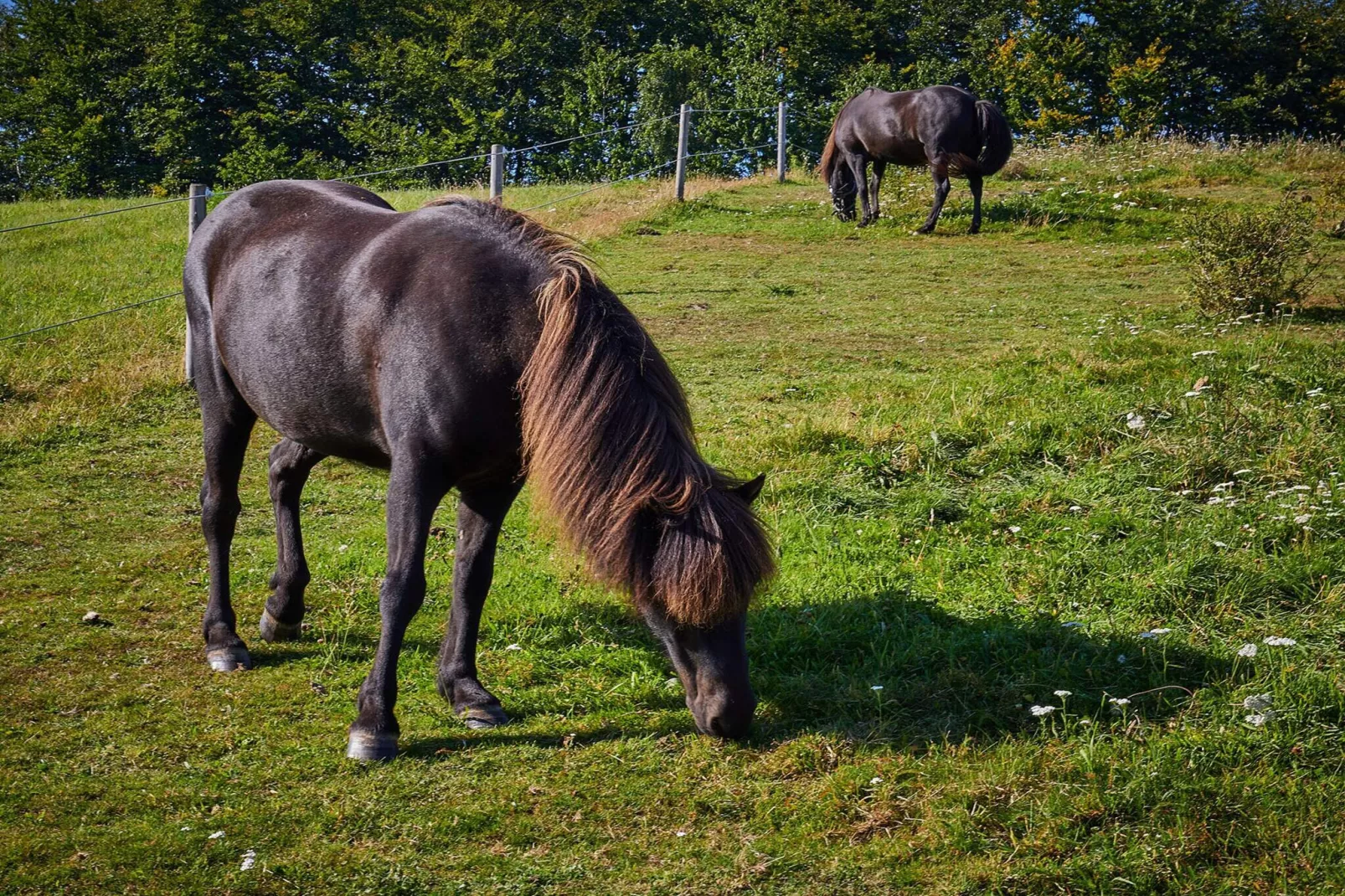 Maison de vacances pour 6 a Aabenraa-By Traum-Non tagué