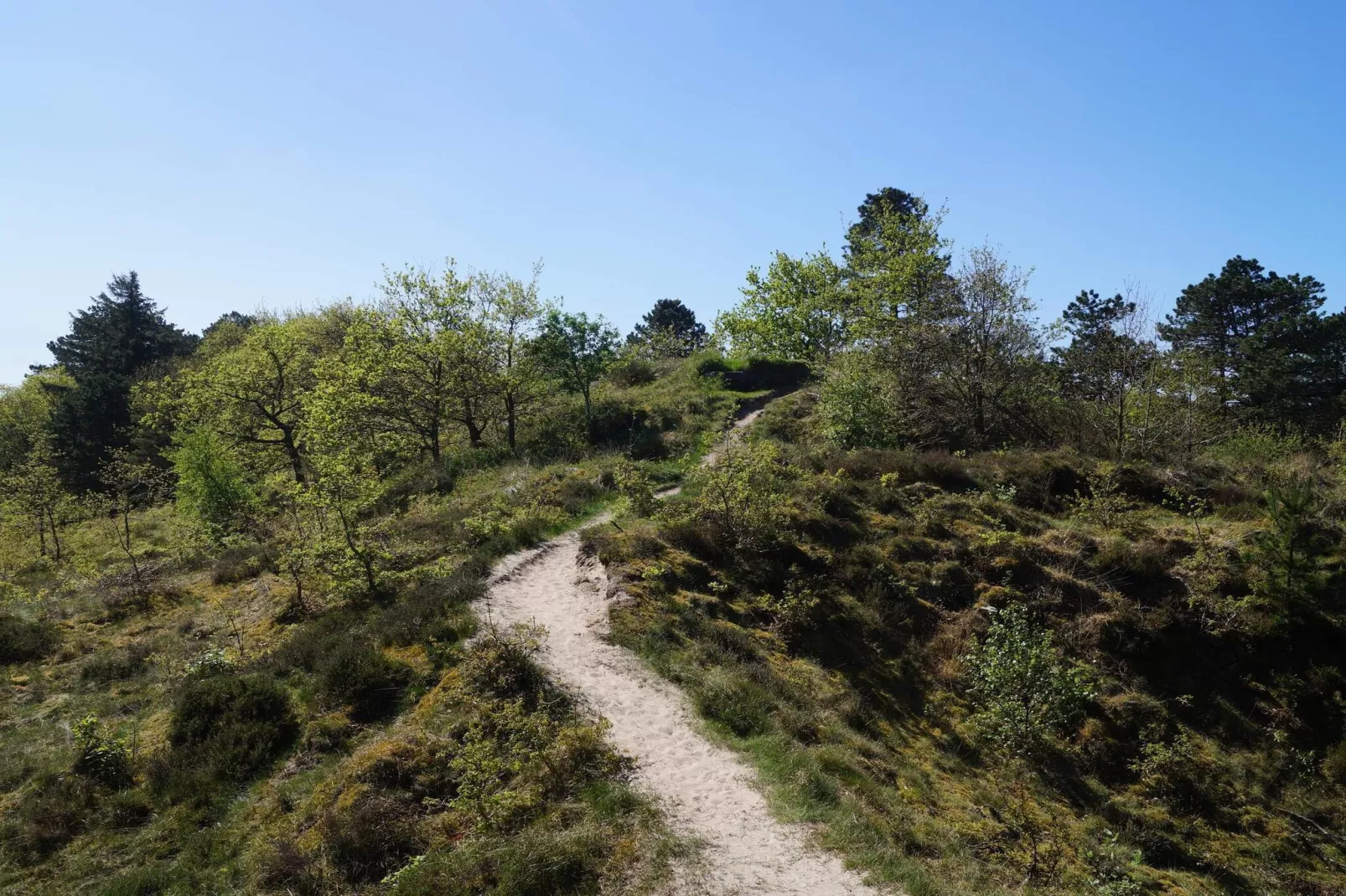 Luxus-Ruckzug mit Pool -- By Traum Ferienwohnungen-Im Freien