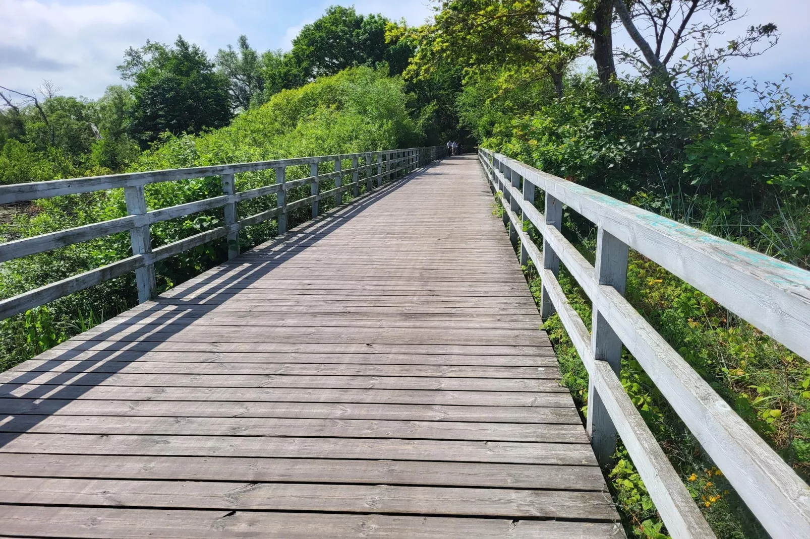 Domki wakacyjne w Gąskach-Areas within 1km in summer
