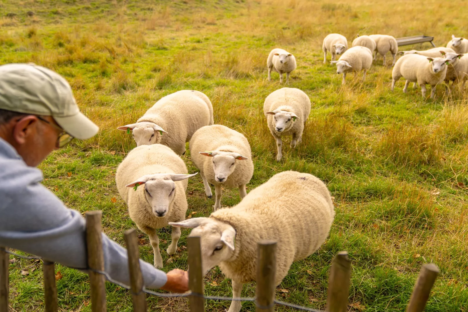 Beach Resort Brouwersdam 1-Parkeinrichtungen