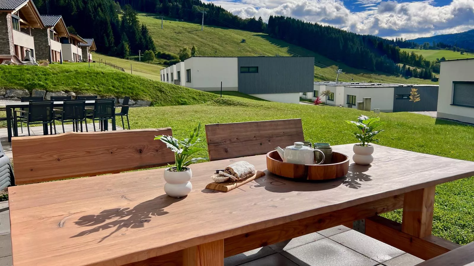Chalet Kolibri-Terrace balcony