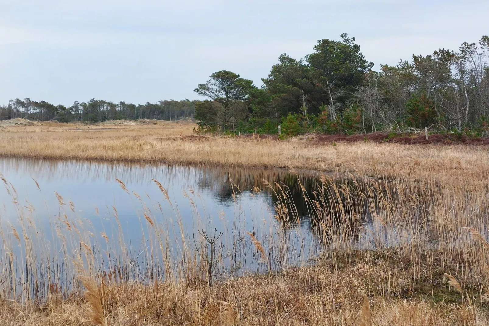 4 person holiday home in Frøstrup-Water view