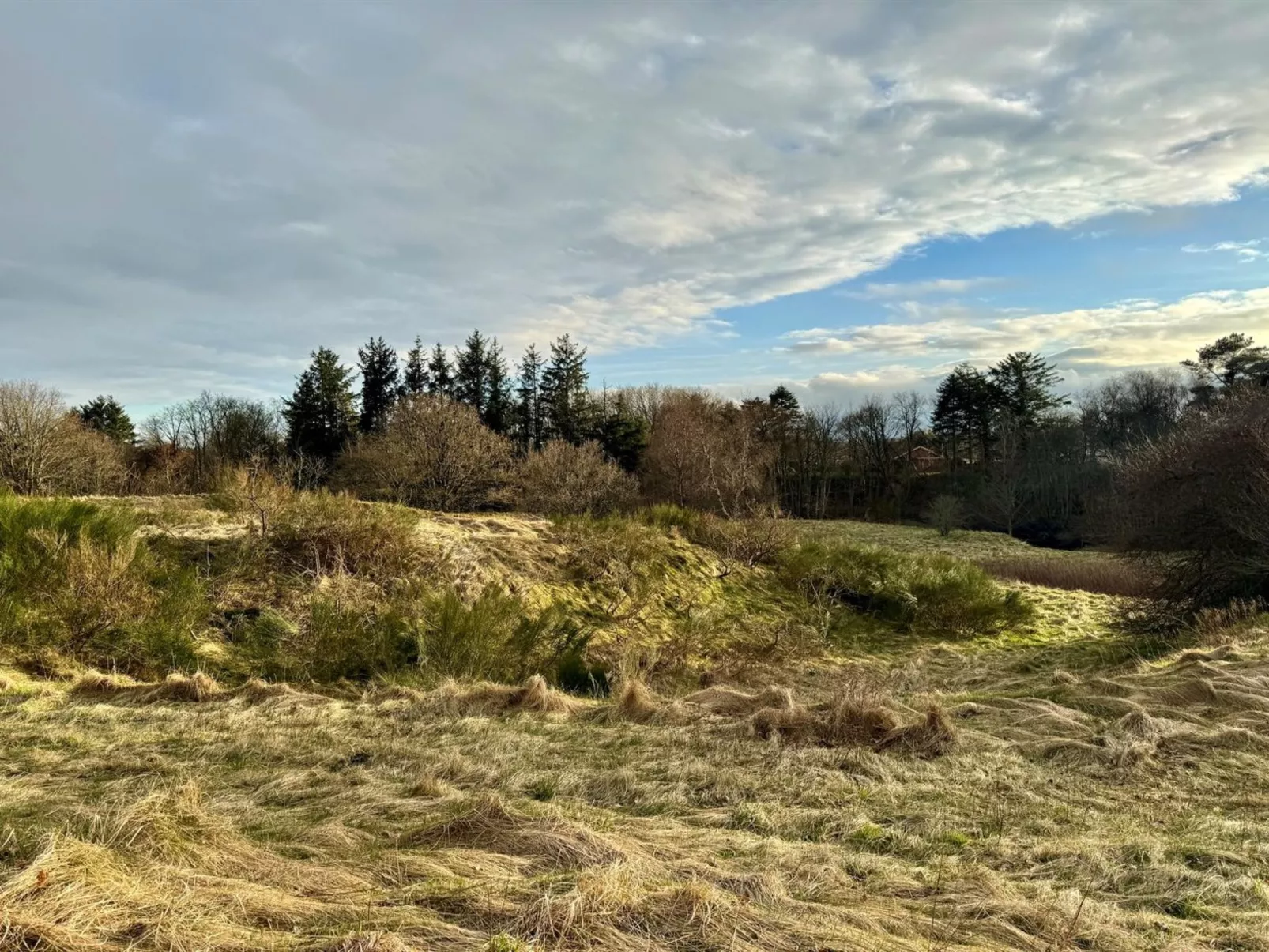 "Skammel" - 900m from the sea-Outside