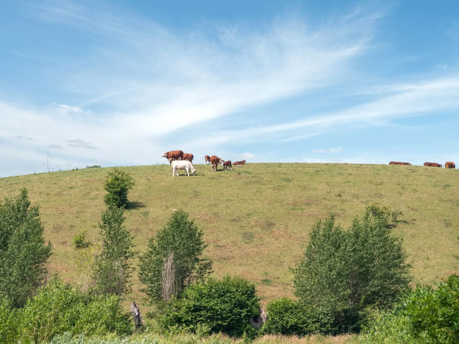 "Raija" - 400m from the sea-Outside