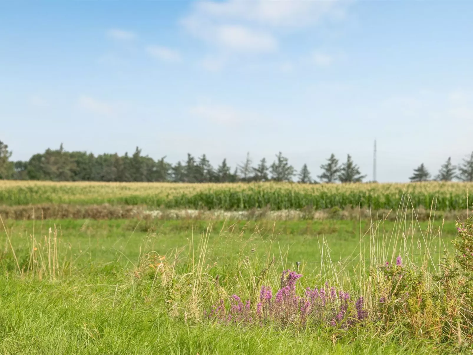 "Ewelina" - 15km from the sea-Dehors