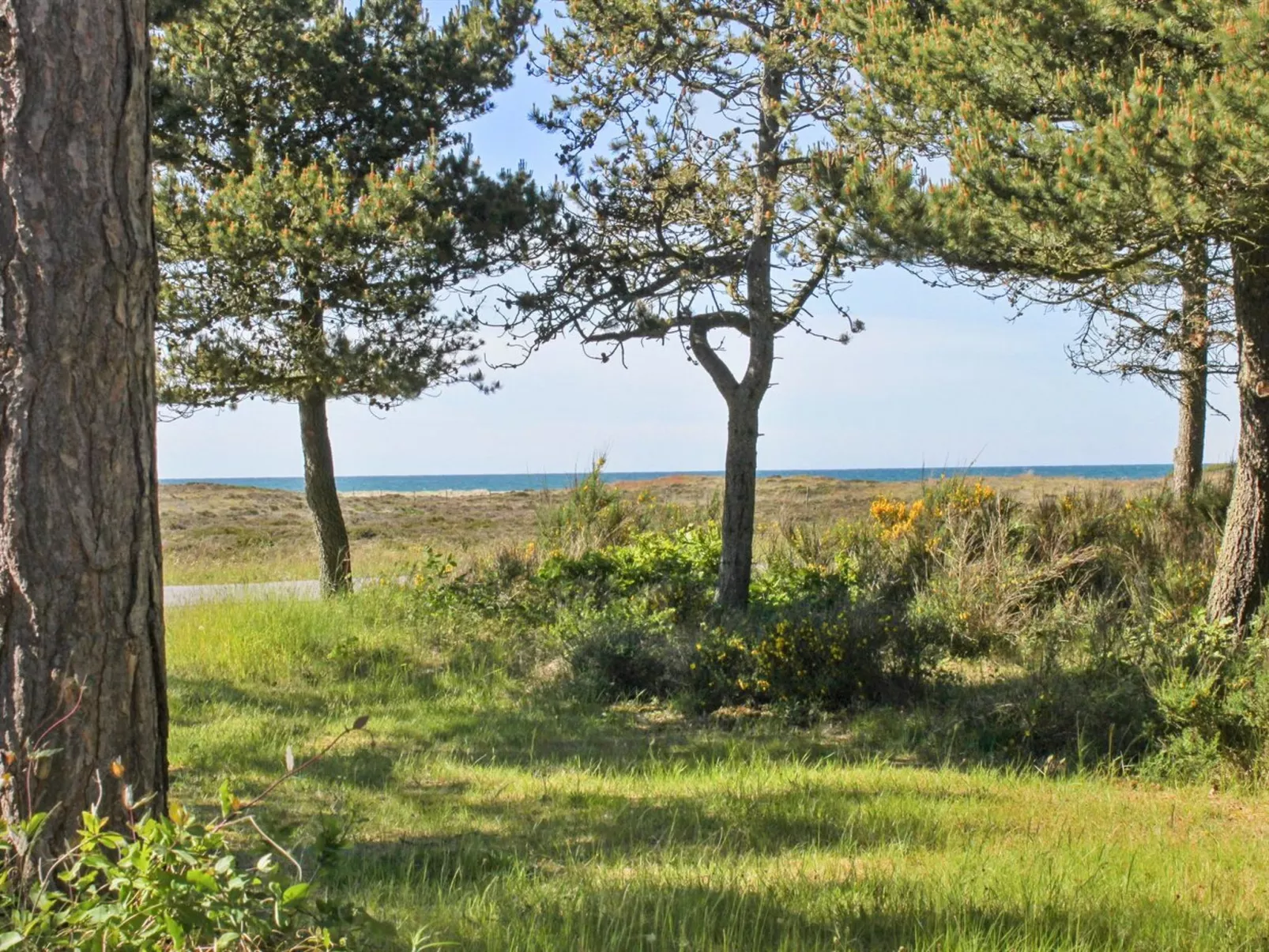 "Hatem" - 200m from the sea-Outside