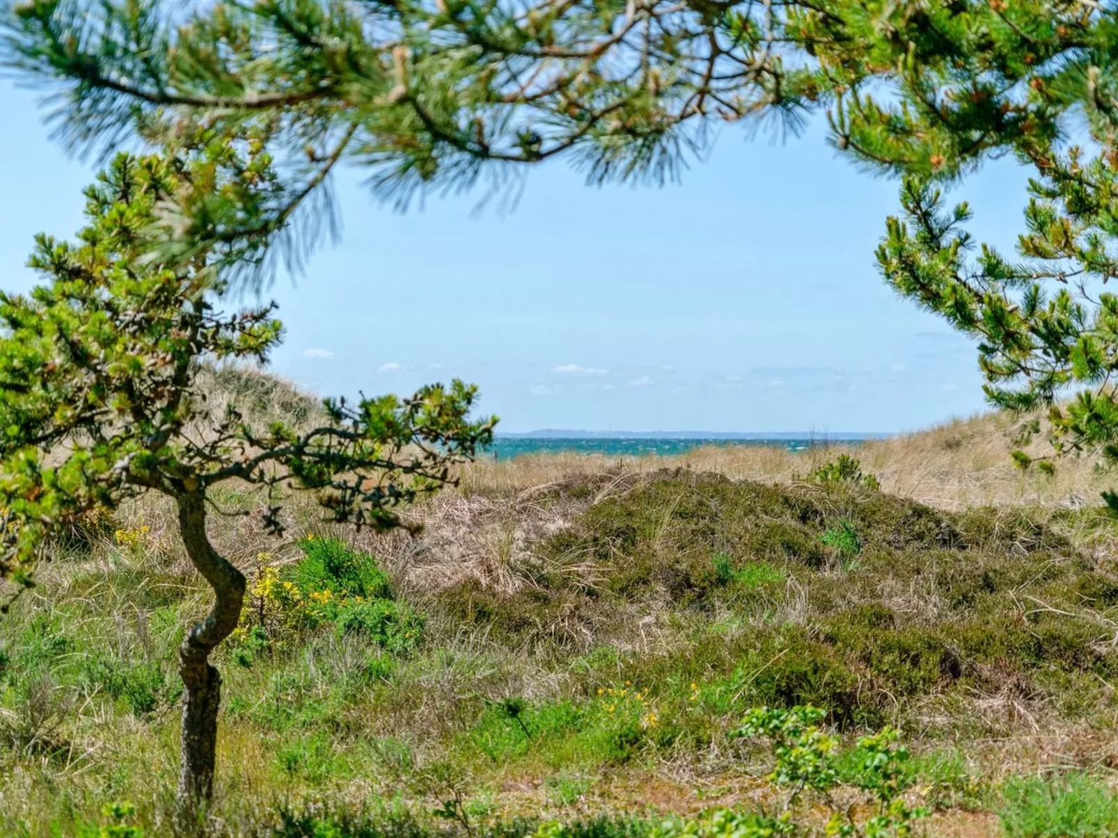 "Petersen" - 50m from the sea-Outside