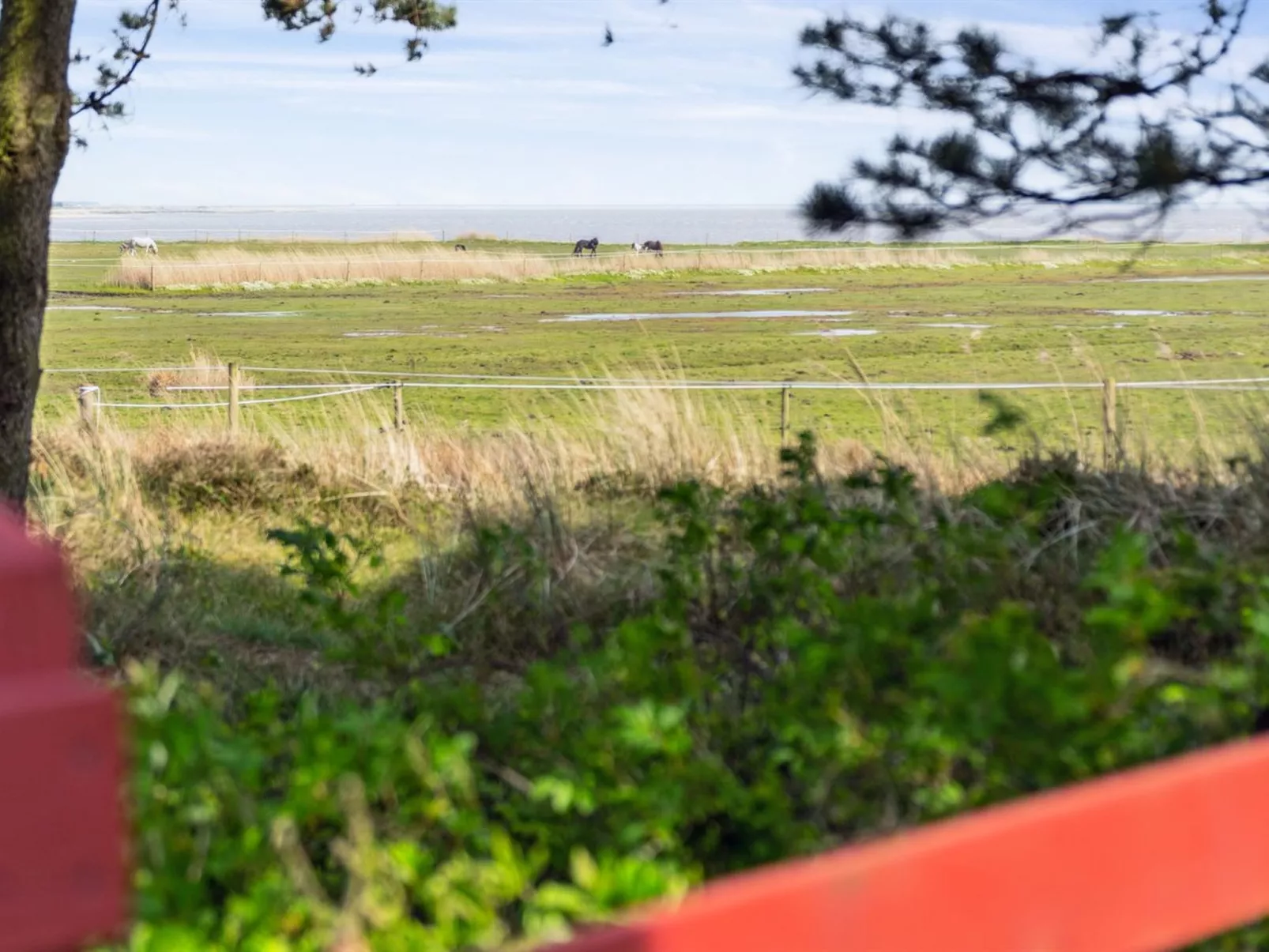 "Sedine" - 3.9km from the sea-Outside