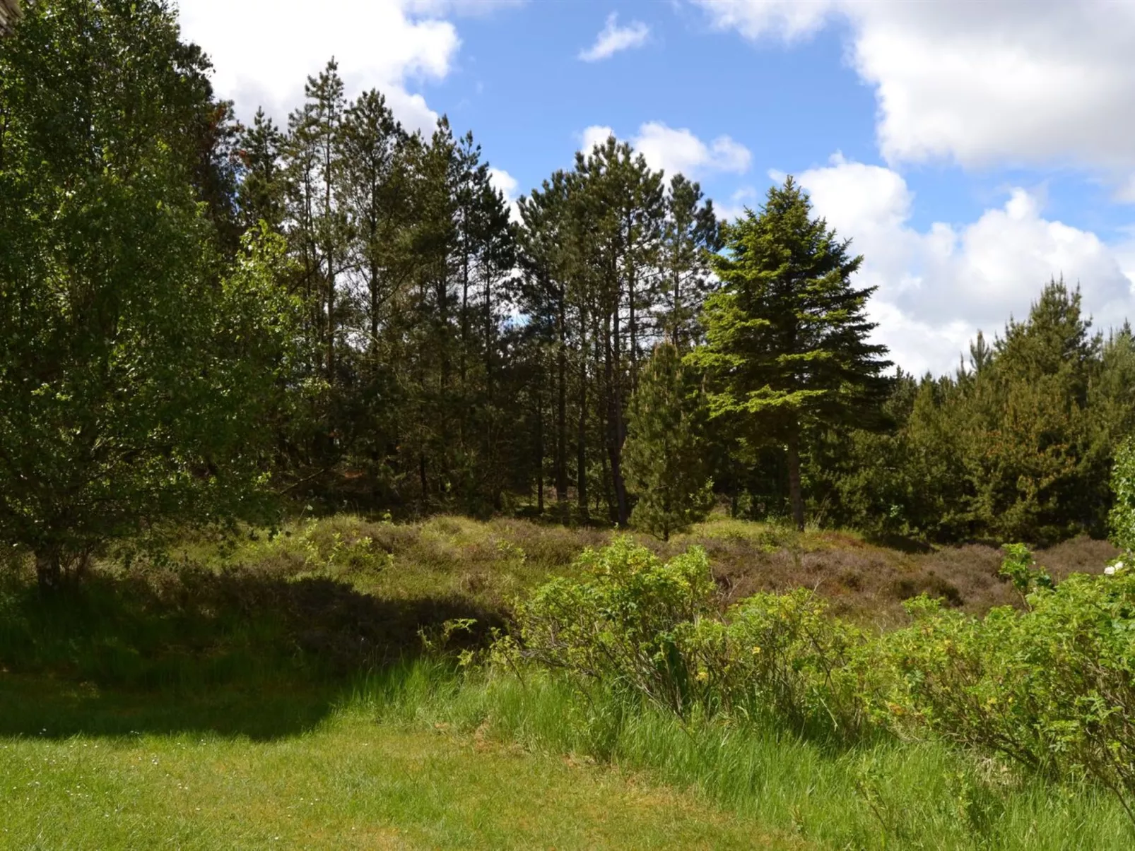 "Emilla" - 3.8km from the sea-Draußen