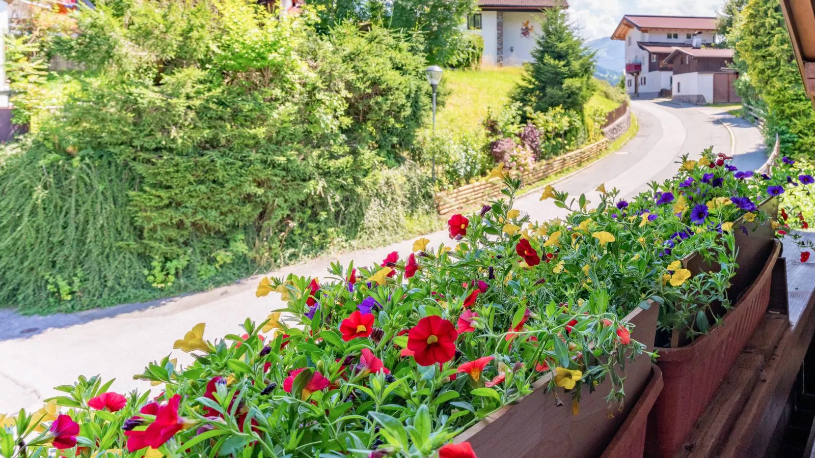 Rettenstein-View summer