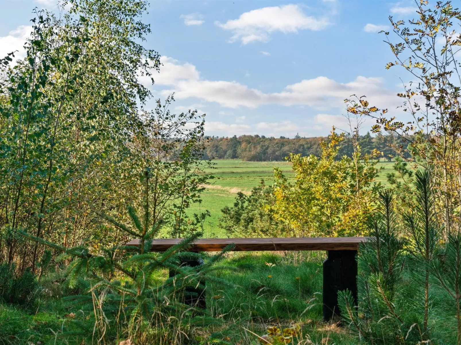 "Mourits" - 1.2km from the sea-Dehors