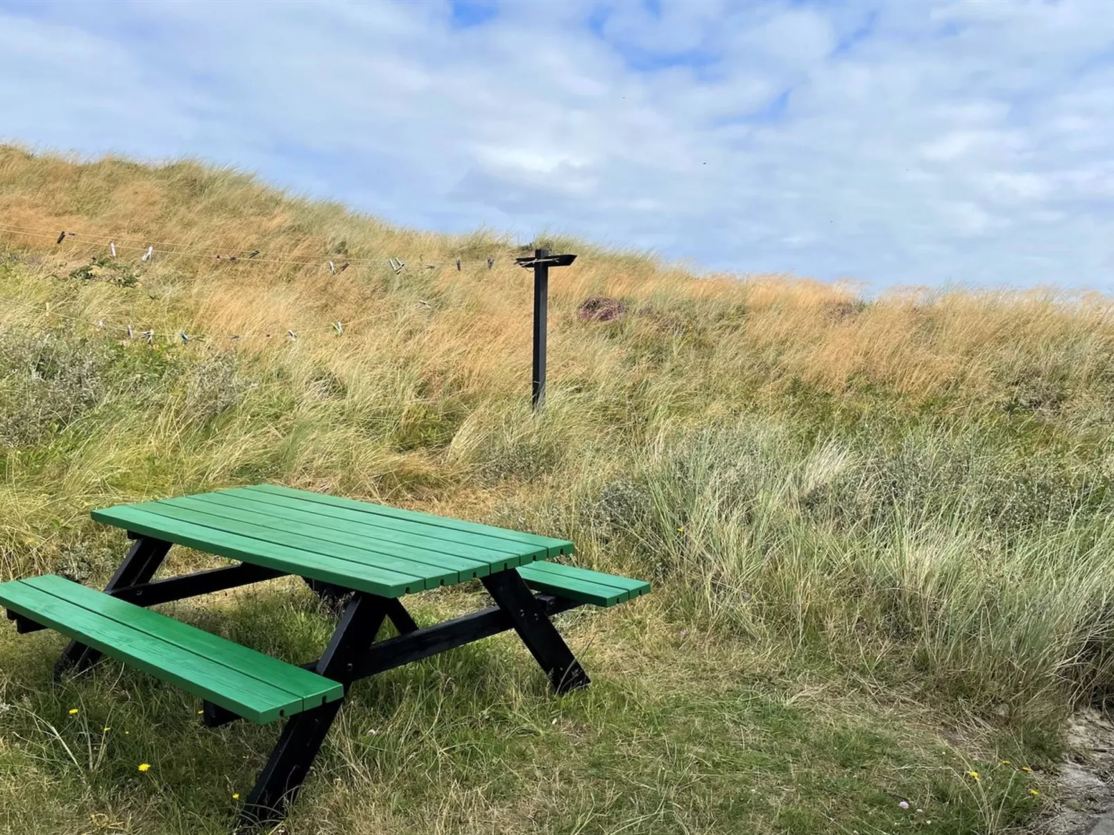 "Trugot" - 450m to the fjord-Outside