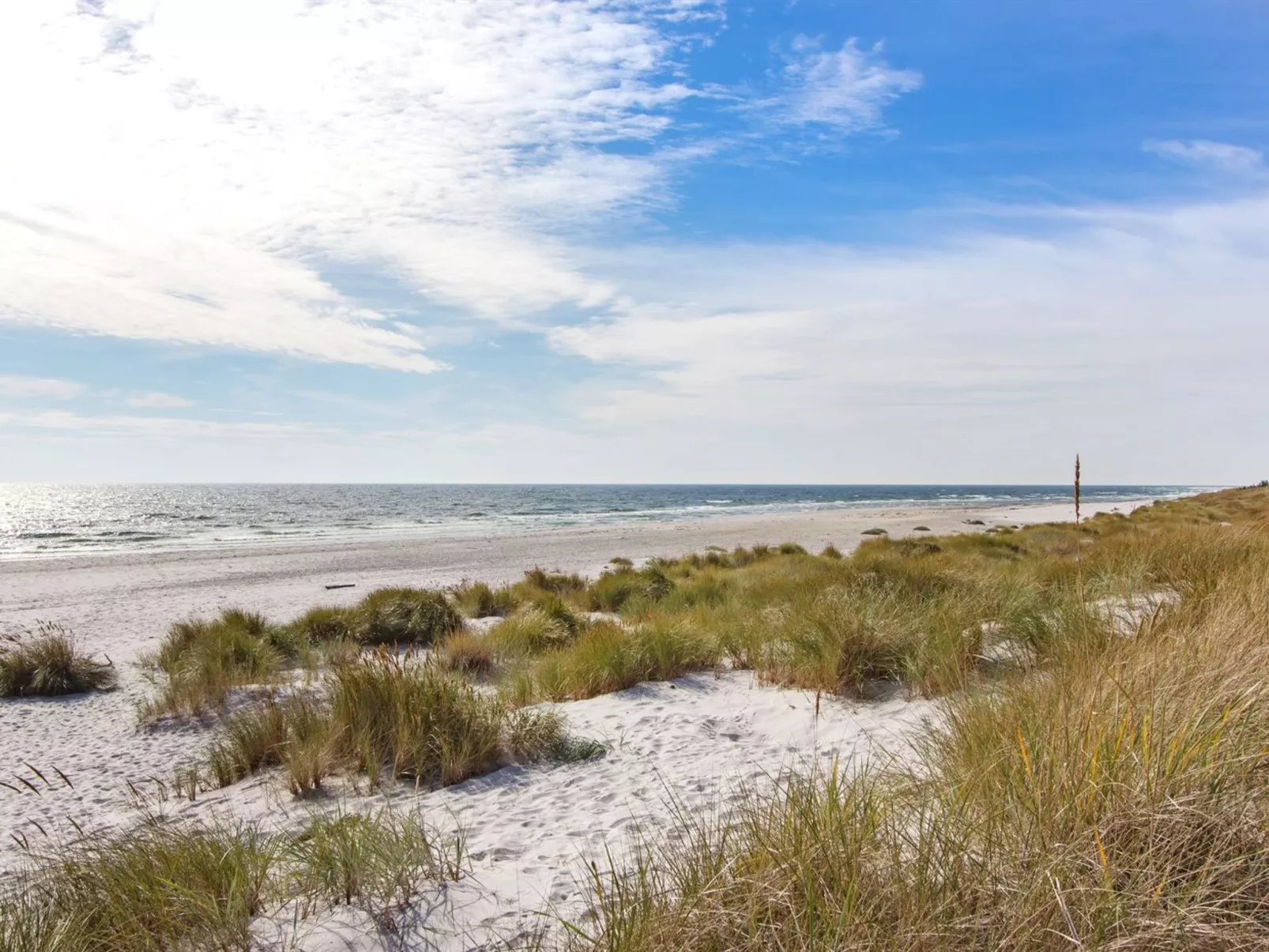 "Loke" - 300m from the sea-Draußen