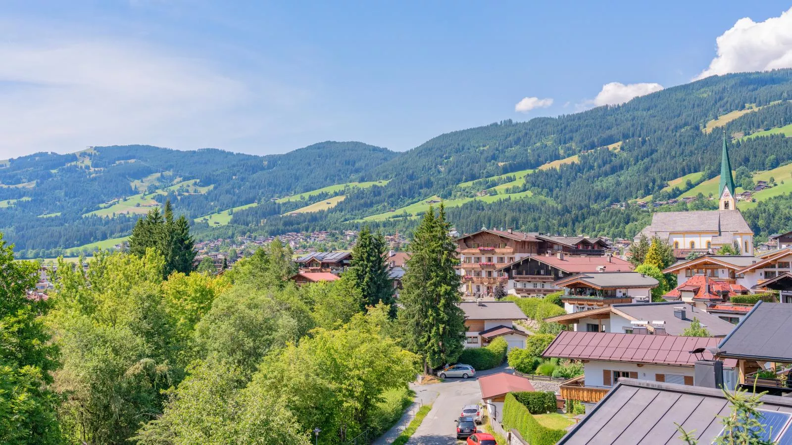 Gaisbergblick-View summer