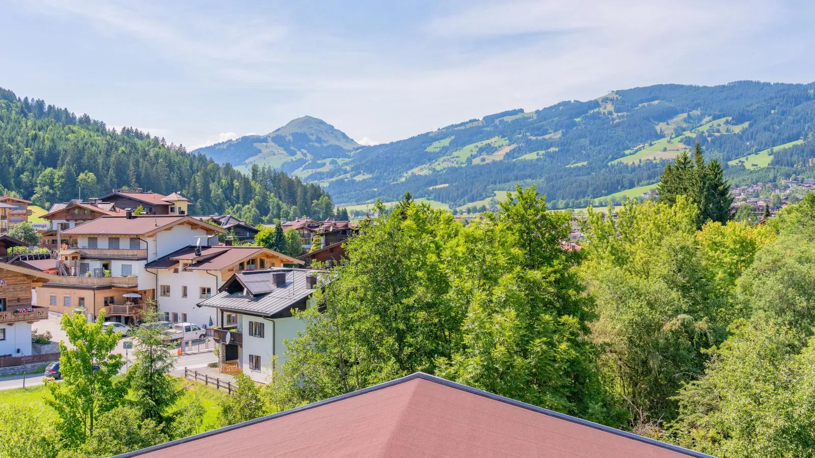 Gaisbergblick-View summer