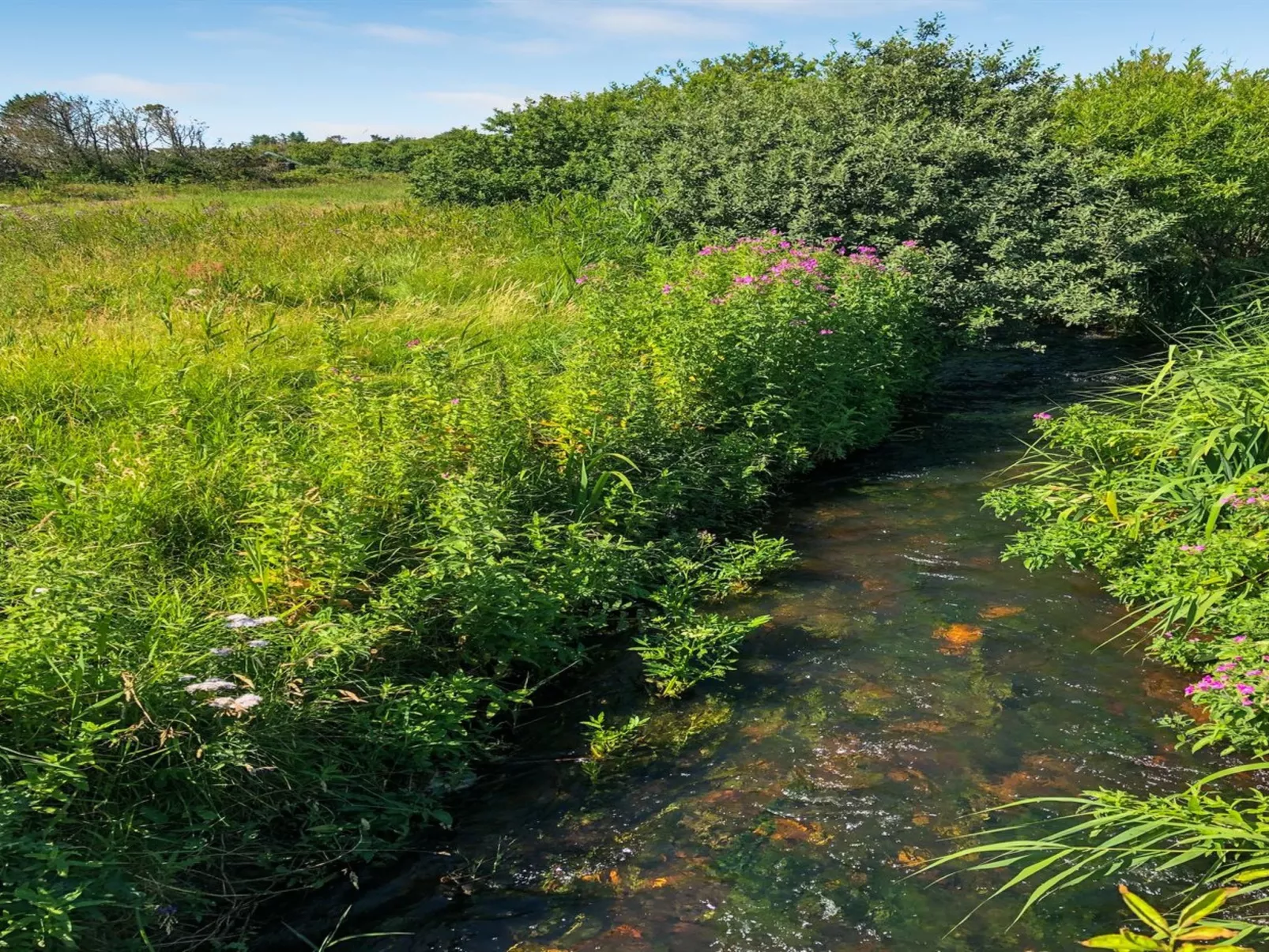 "Lökea" - 800m from the sea-Draußen
