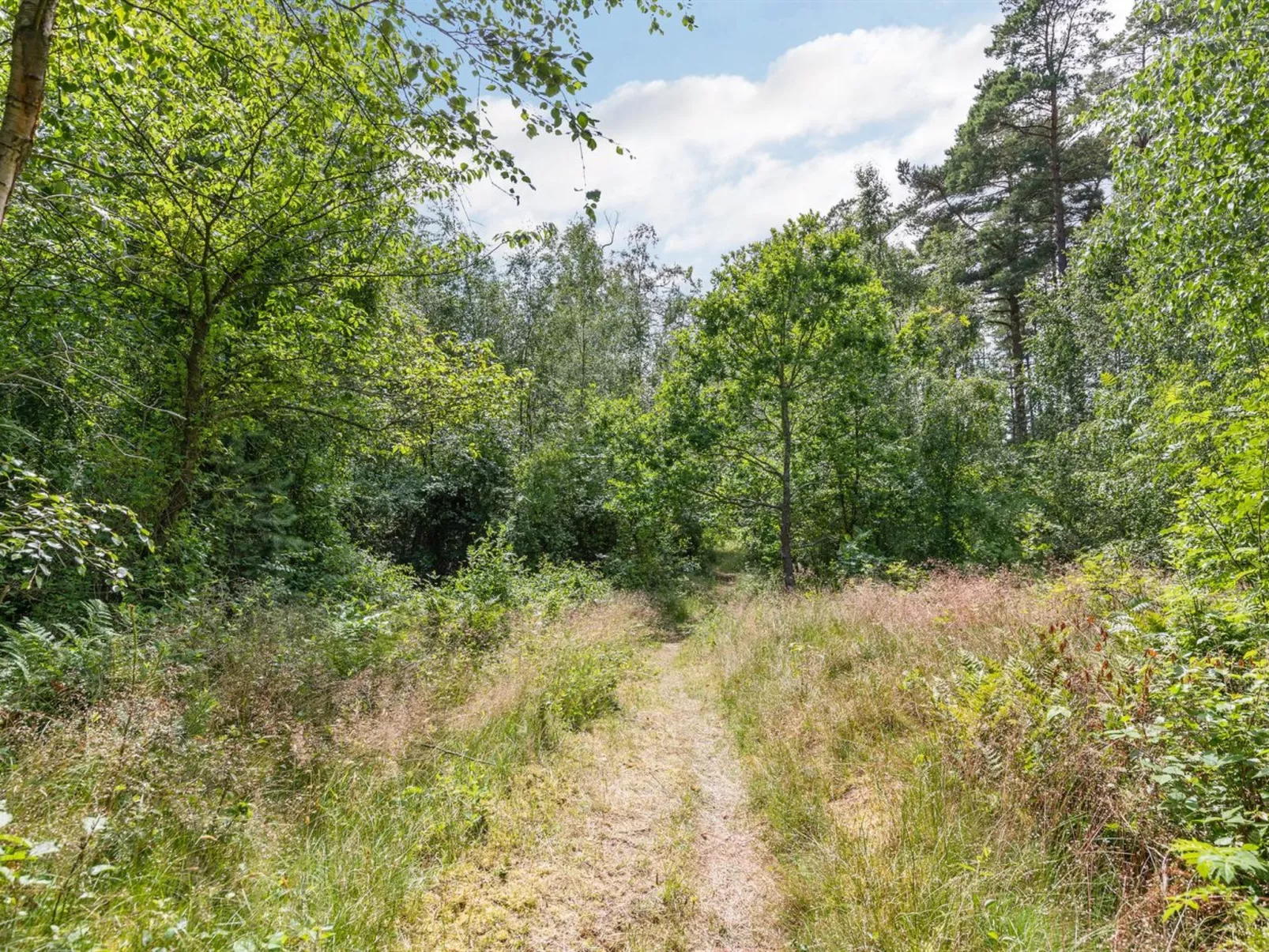 "Anarosa" - 200m from the sea-Dehors