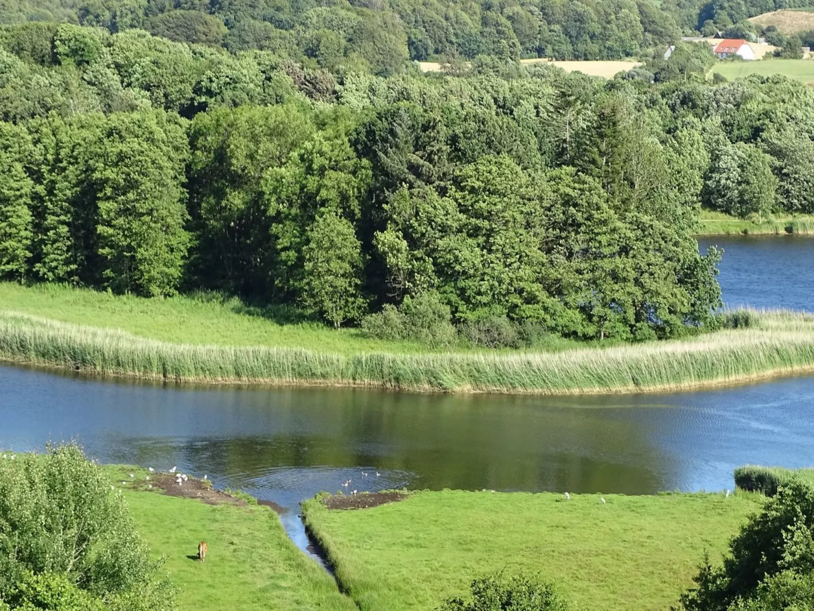 "Veselin" - 100m from the sea-Draußen