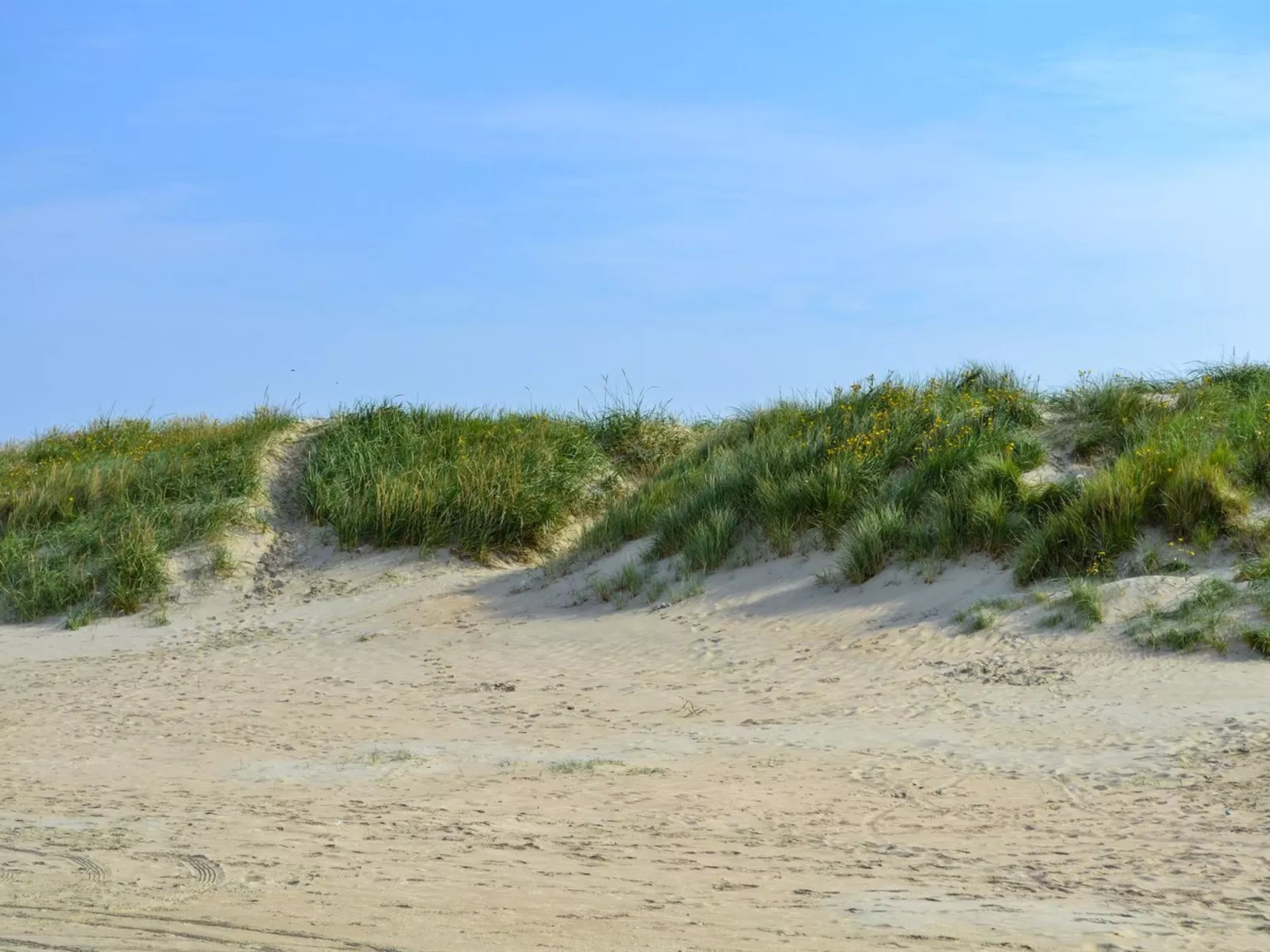 "Gunnlaug" - 500m from the sea-Dedans