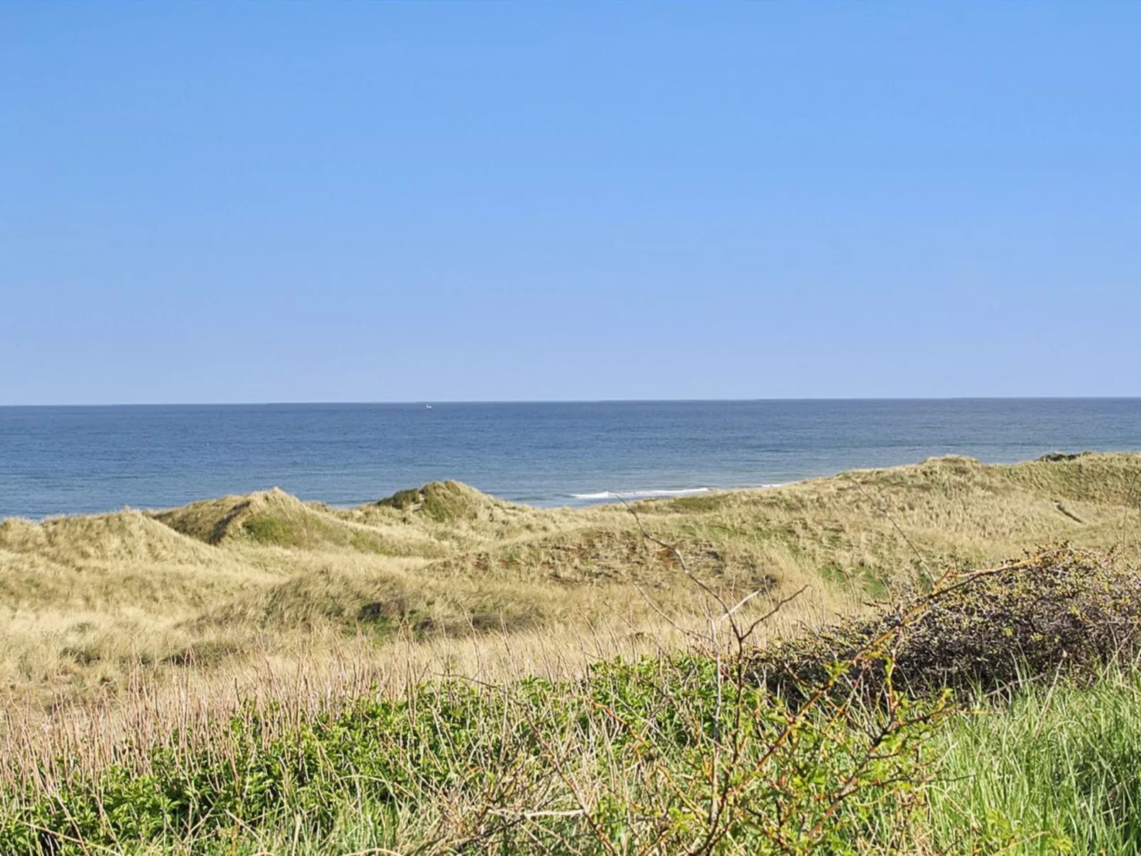 "Mafalda" - 260m from the sea-Outside