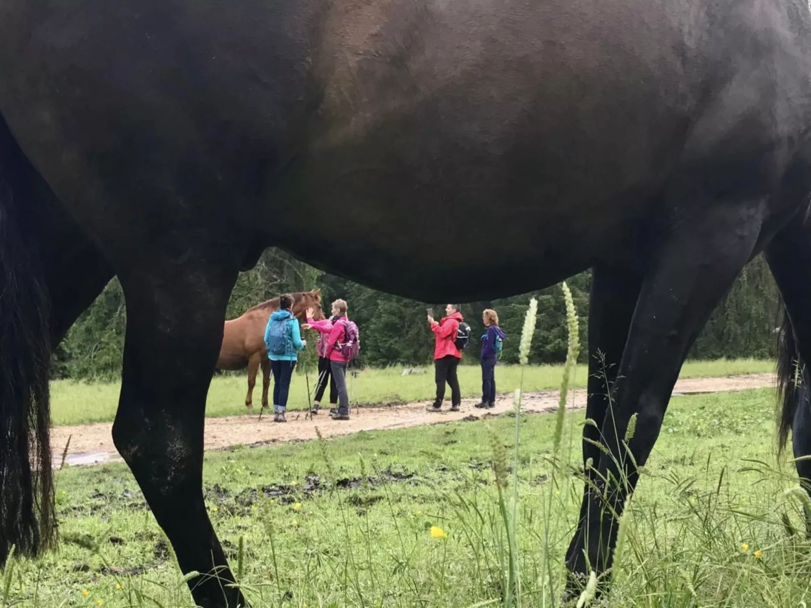 Maison de vacances - LM-Draußen