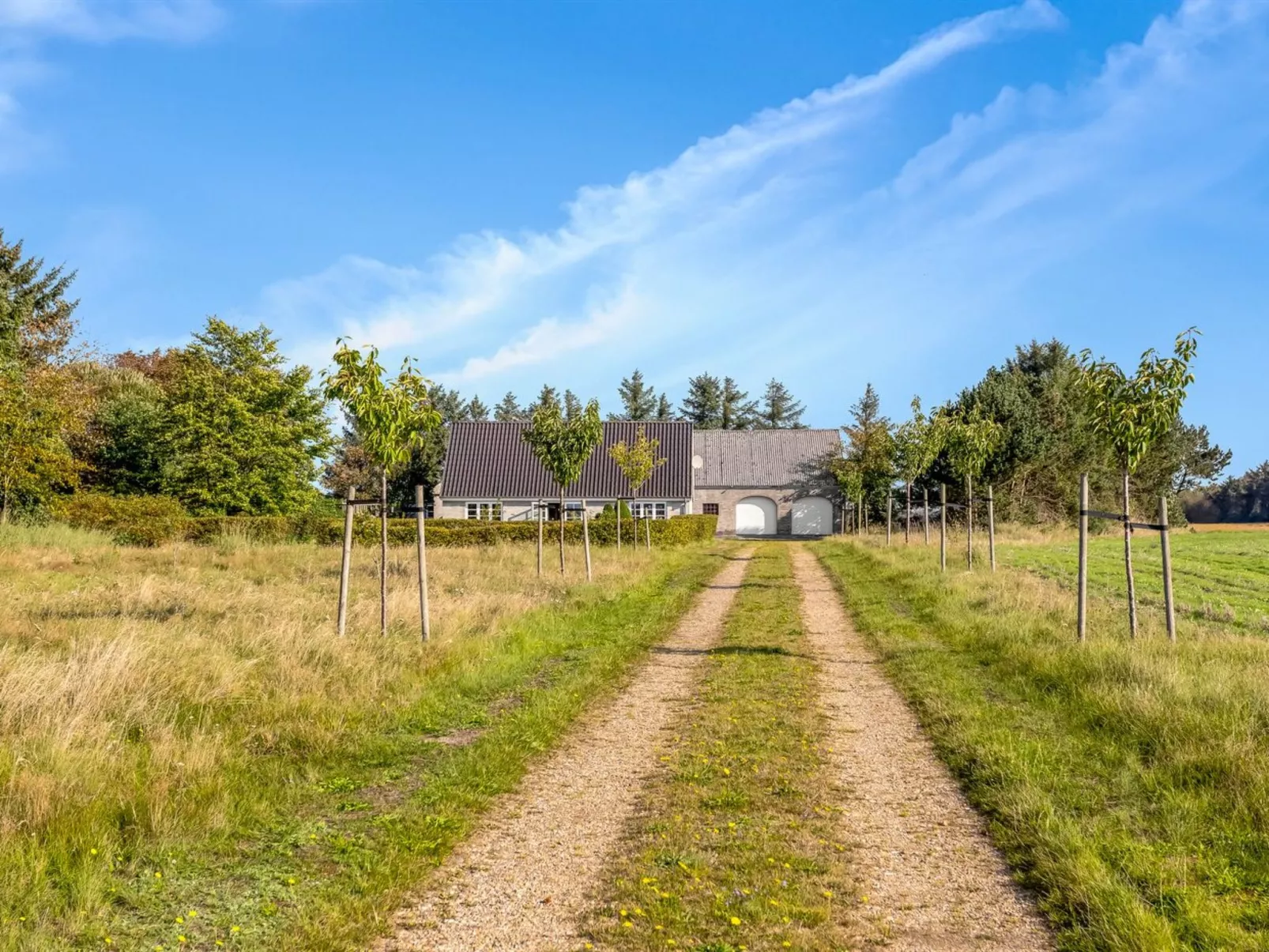 "Merrit" - 4.6km to the fjord-Outside