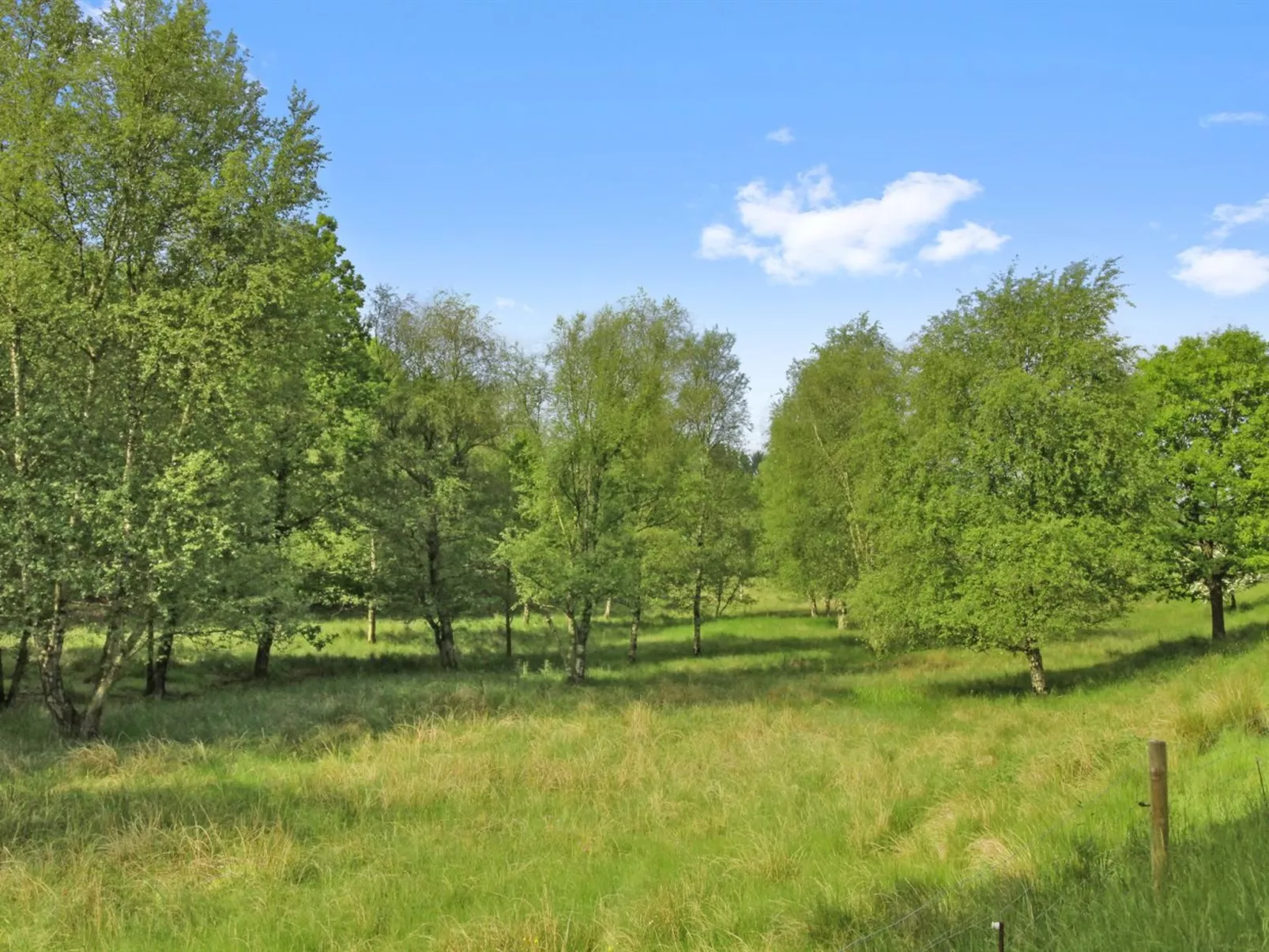 "Terese" - 45km from the sea-Outside