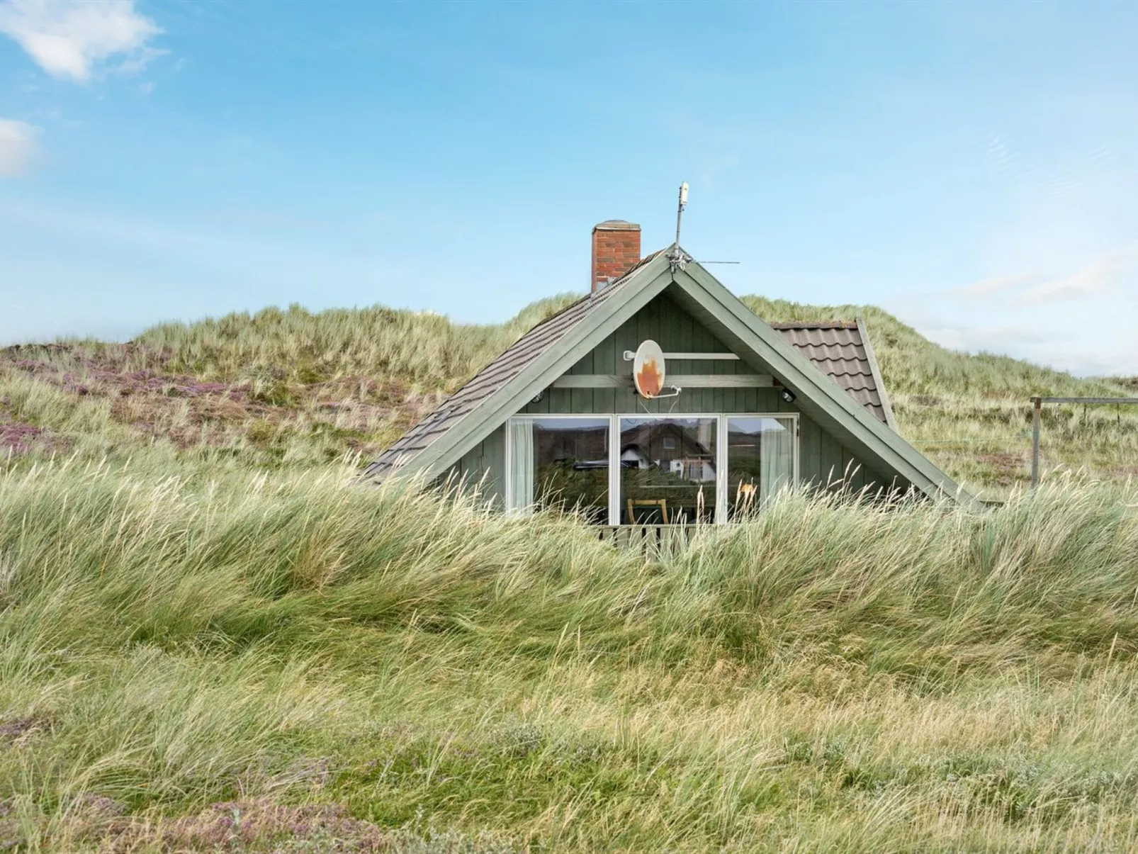 "Felina" -  from the sea-Outside